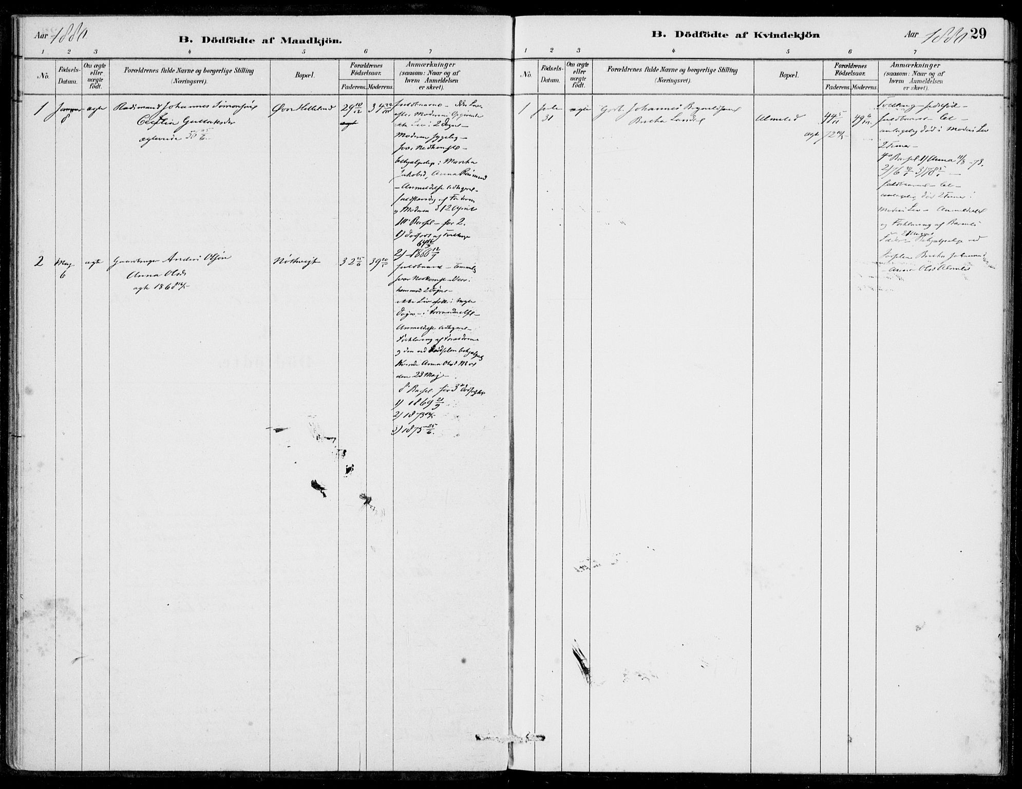 Hosanger sokneprestembete, SAB/A-75801/H/Haa: Parish register (official) no. C  1, 1880-1900, p. 29