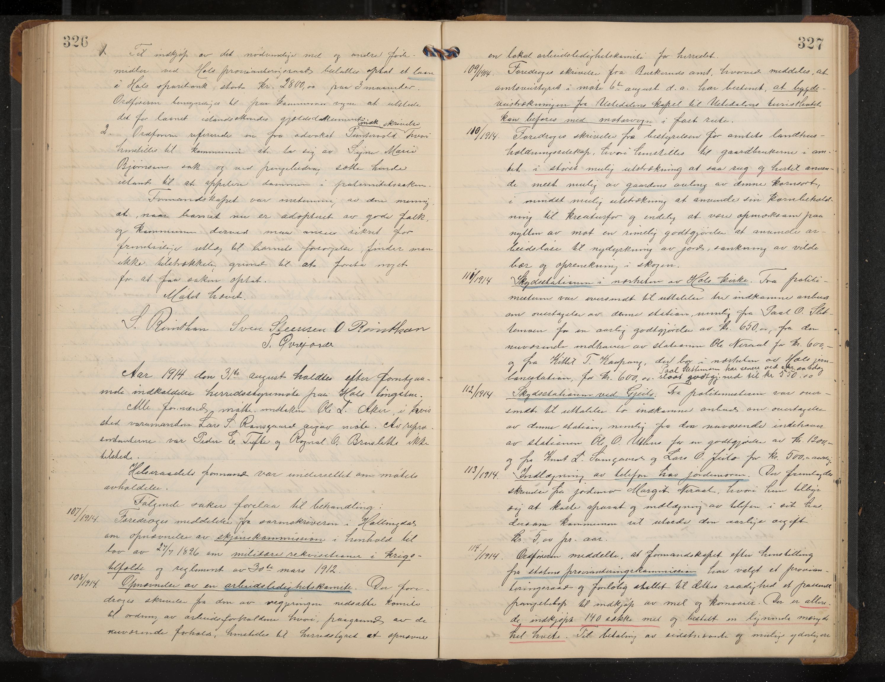 Hol formannskap og sentraladministrasjon, IKAK/0620021-1/A/L0005: Møtebok, 1909-1915, p. 326-327