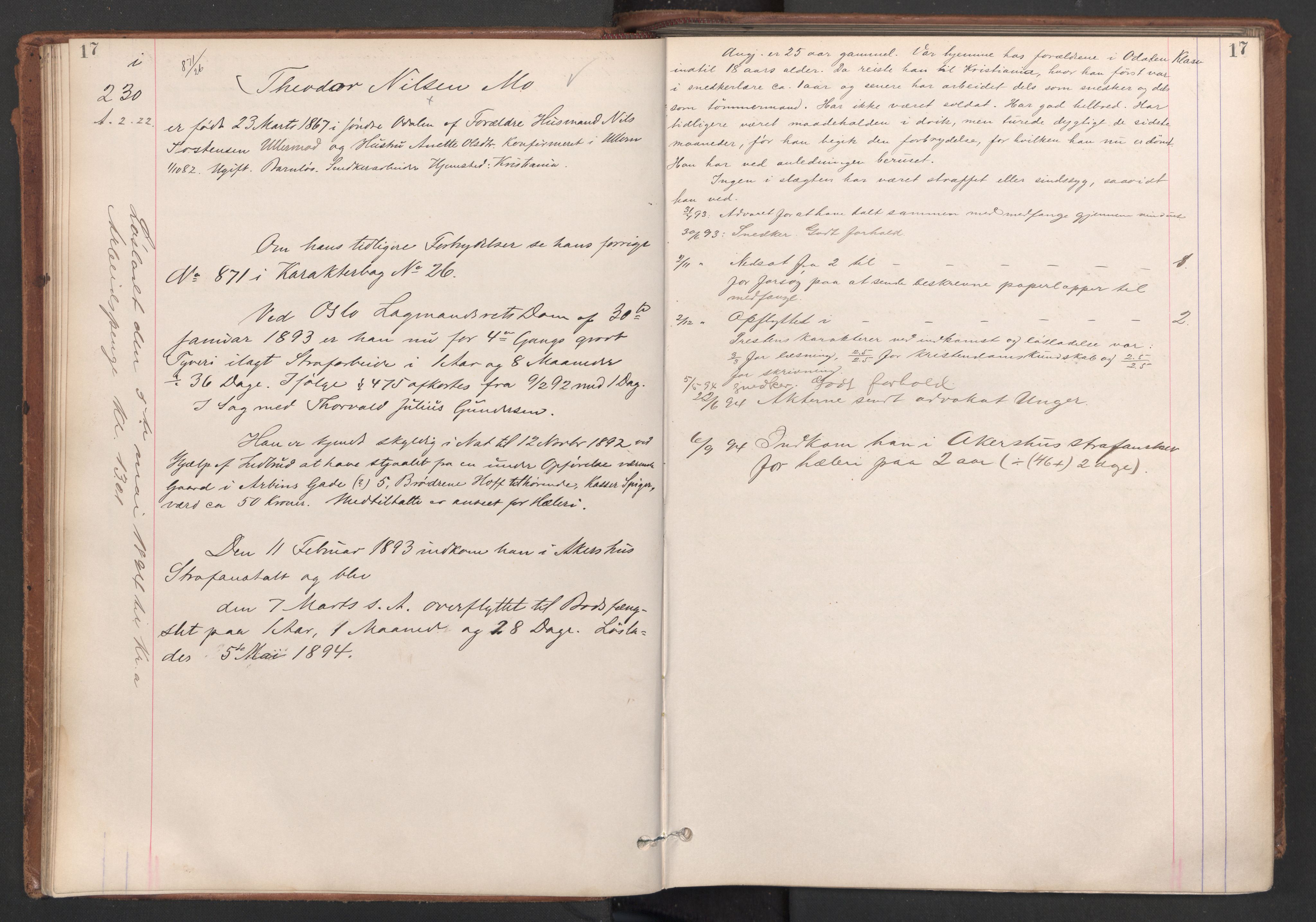 Botsfengslet, AV/RA-S-1539/D/Db/Dbb/L0028: 214i - 506i, 1893-1894, p. 17