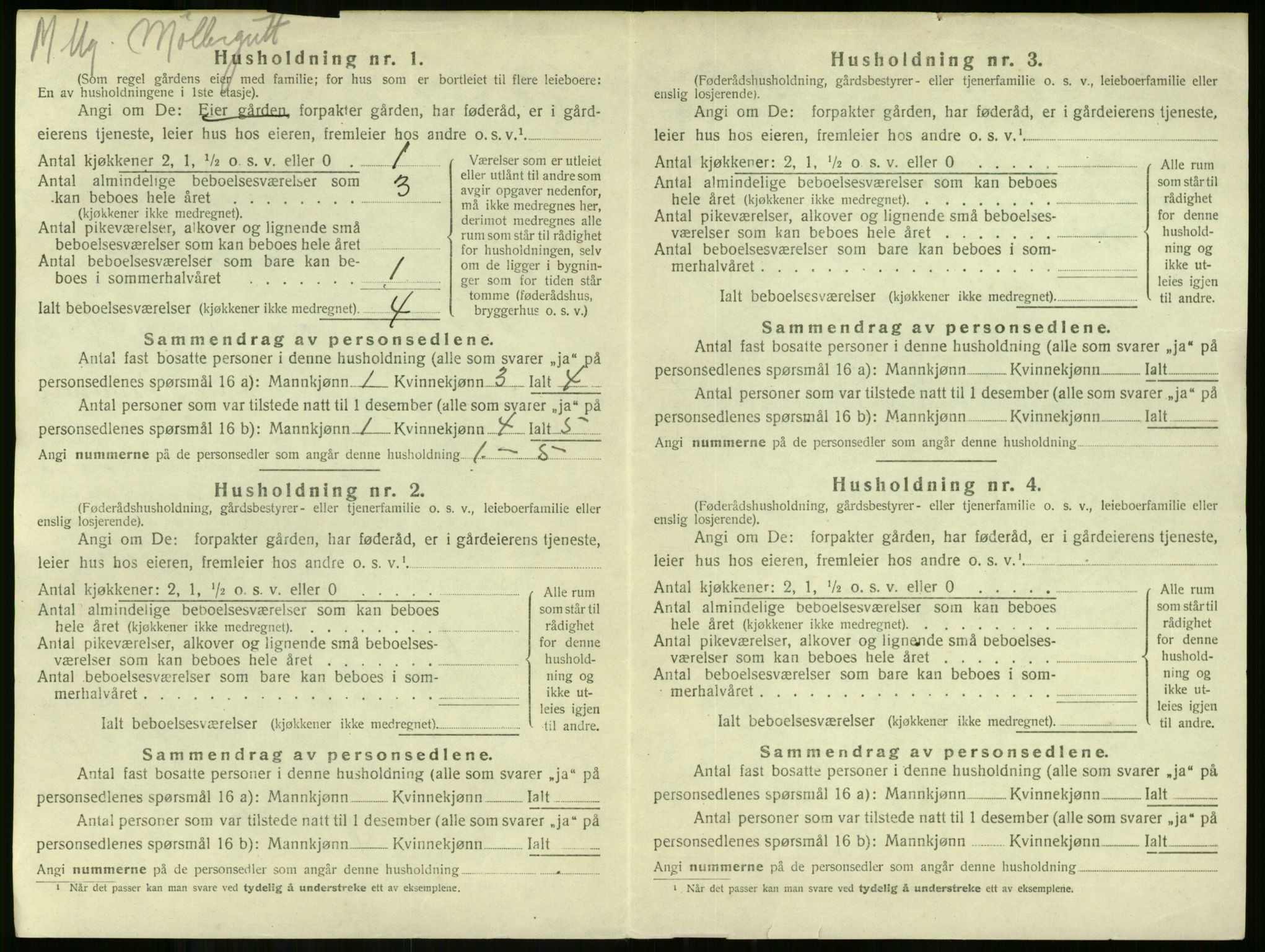 SAKO, 1920 census for Stokke, 1920, p. 2033