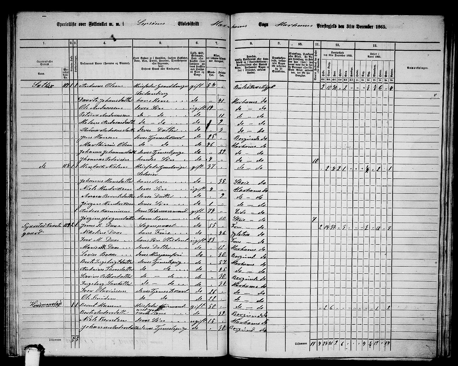RA, 1865 census for Haram, 1865, p. 57