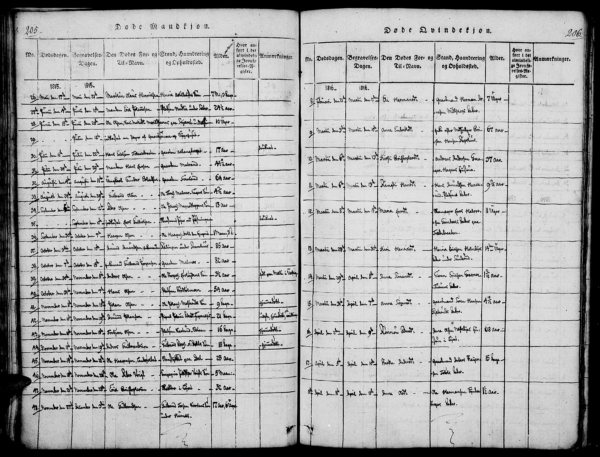 Vinger prestekontor, AV/SAH-PREST-024/H/Ha/Haa/L0006: Parish register (official) no. 6, 1814-1825, p. 205-206