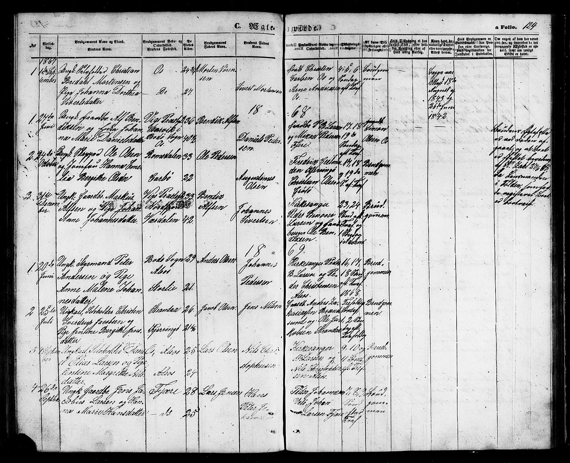 Ministerialprotokoller, klokkerbøker og fødselsregistre - Nordland, SAT/A-1459/803/L0075: Parish register (copy) no. 803C02, 1867-1881, p. 124