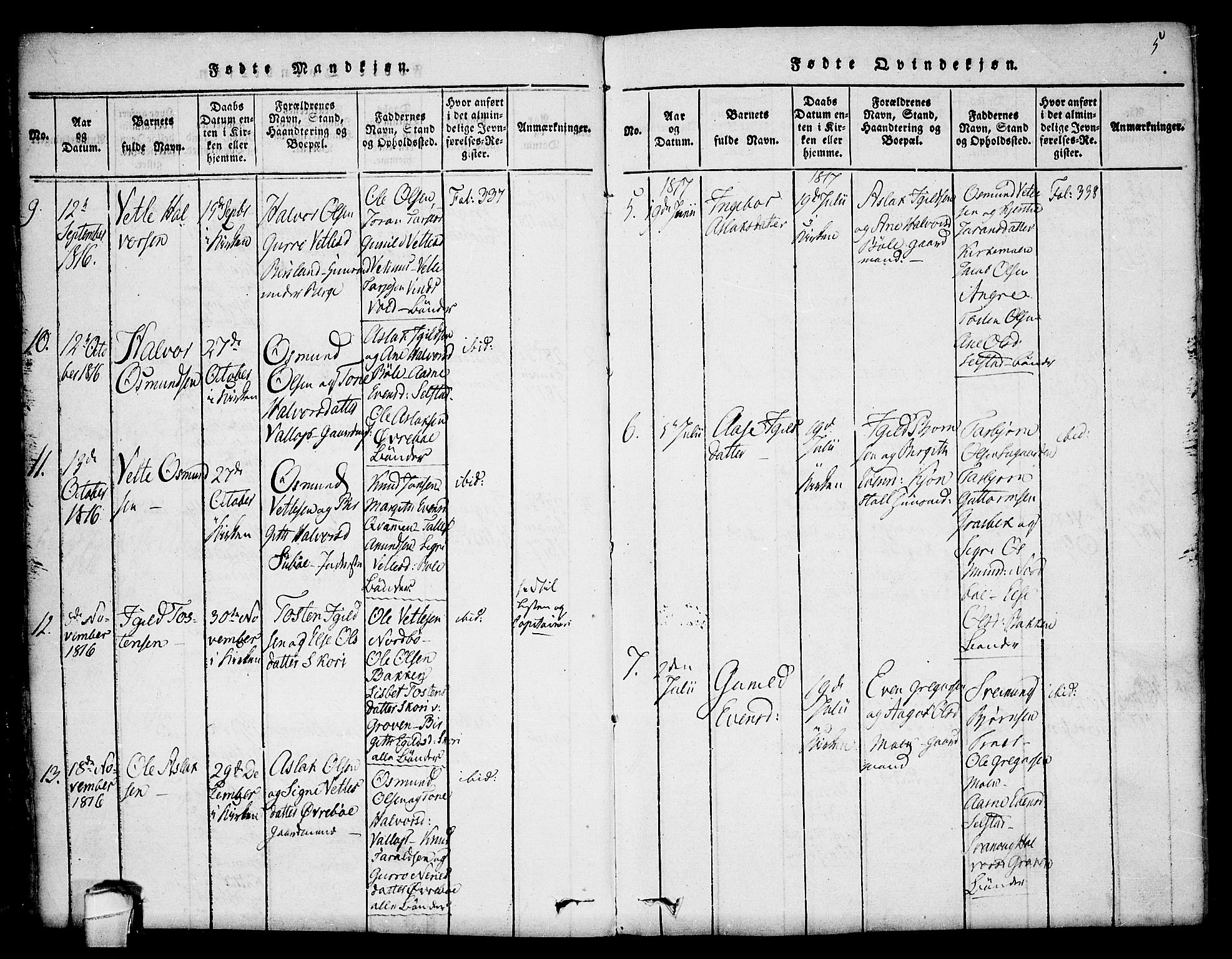 Seljord kirkebøker, SAKO/A-20/F/Fc/L0001: Parish register (official) no. III 1, 1815-1831, p. 5