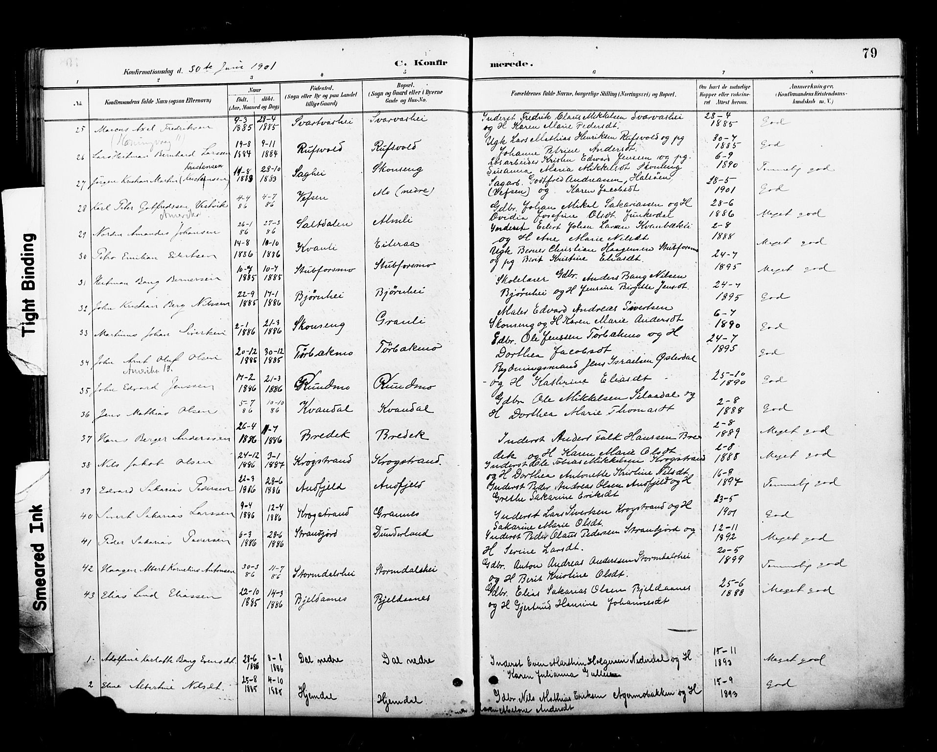 Ministerialprotokoller, klokkerbøker og fødselsregistre - Nordland, AV/SAT-A-1459/827/L0401: Parish register (official) no. 827A13, 1887-1905, p. 79