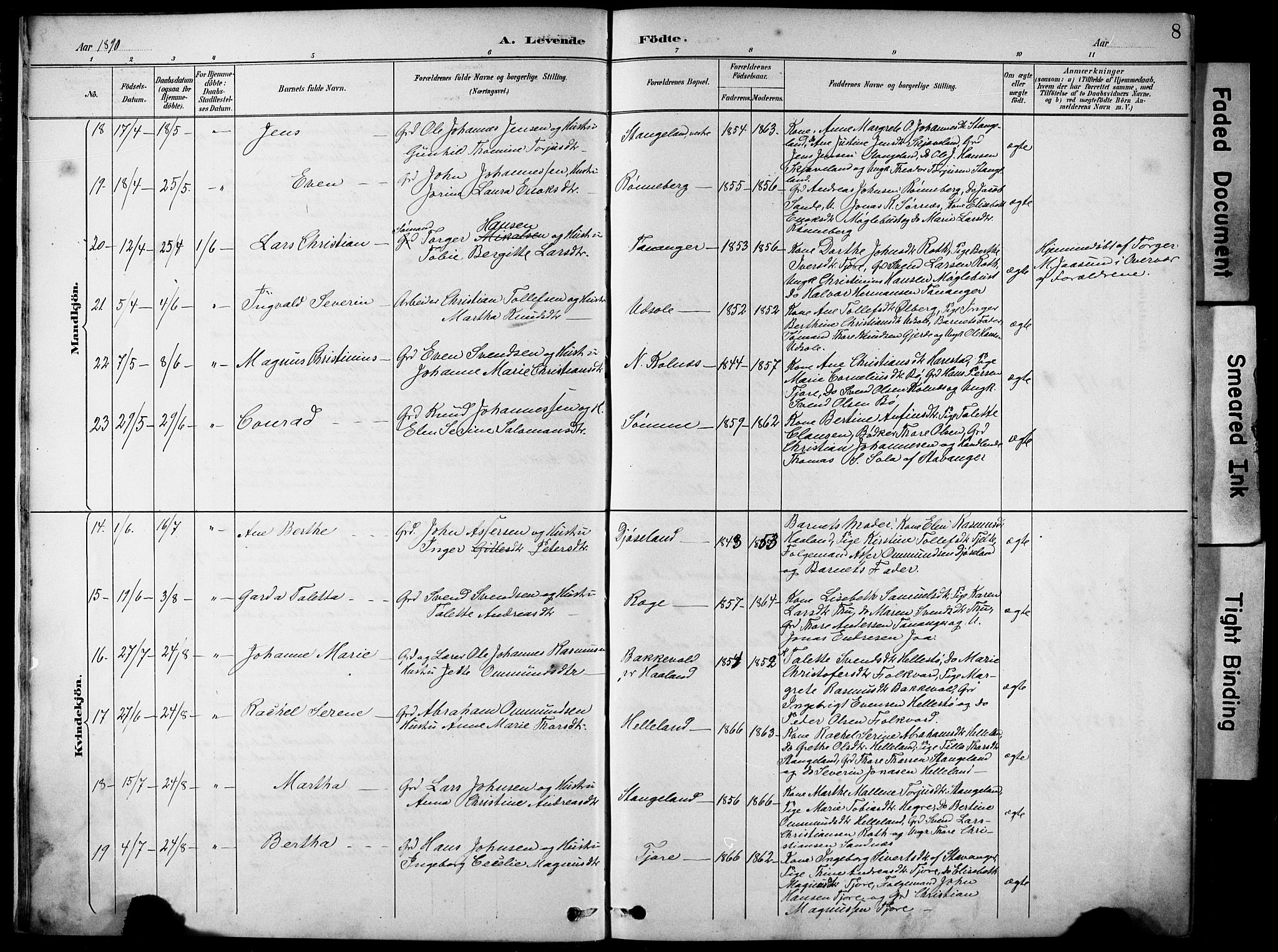 Håland sokneprestkontor, AV/SAST-A-101802/001/30BA/L0012: Parish register (official) no. A 11, 1889-1900, p. 8