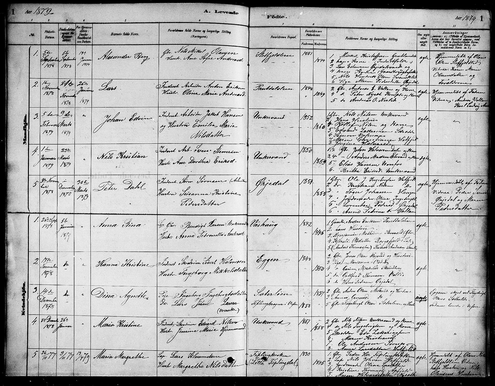 Ministerialprotokoller, klokkerbøker og fødselsregistre - Nordland, SAT/A-1459/823/L0330: Parish register (copy) no. 823C02, 1879-1916, p. 1
