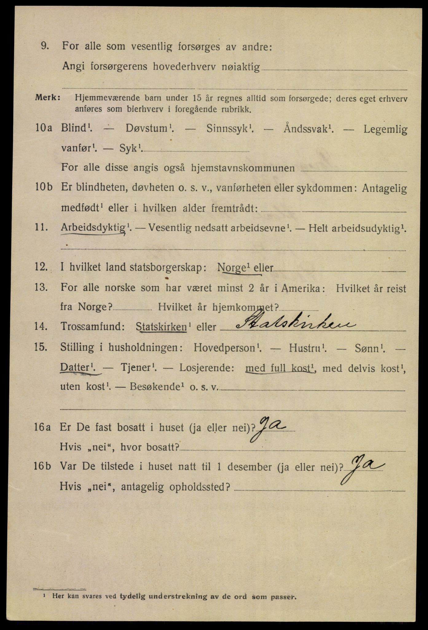 SAKO, 1920 census for Porsgrunn, 1920, p. 17368
