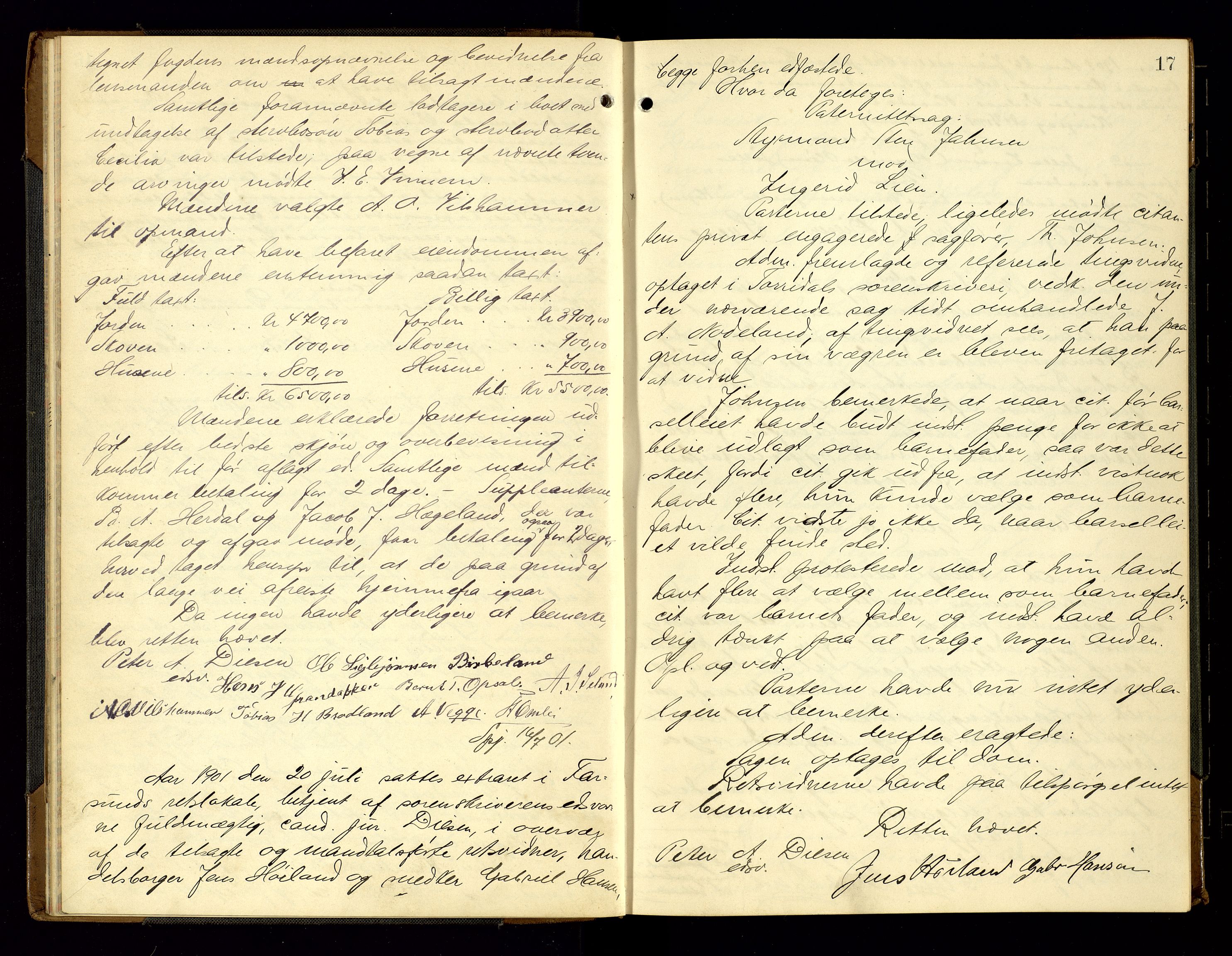Lyngdal sorenskriveri, AV/SAK-1221-0004/F/Fb/L0093: Ekstrarettsprotokoll nr. 29, 1901-1904, p. 17