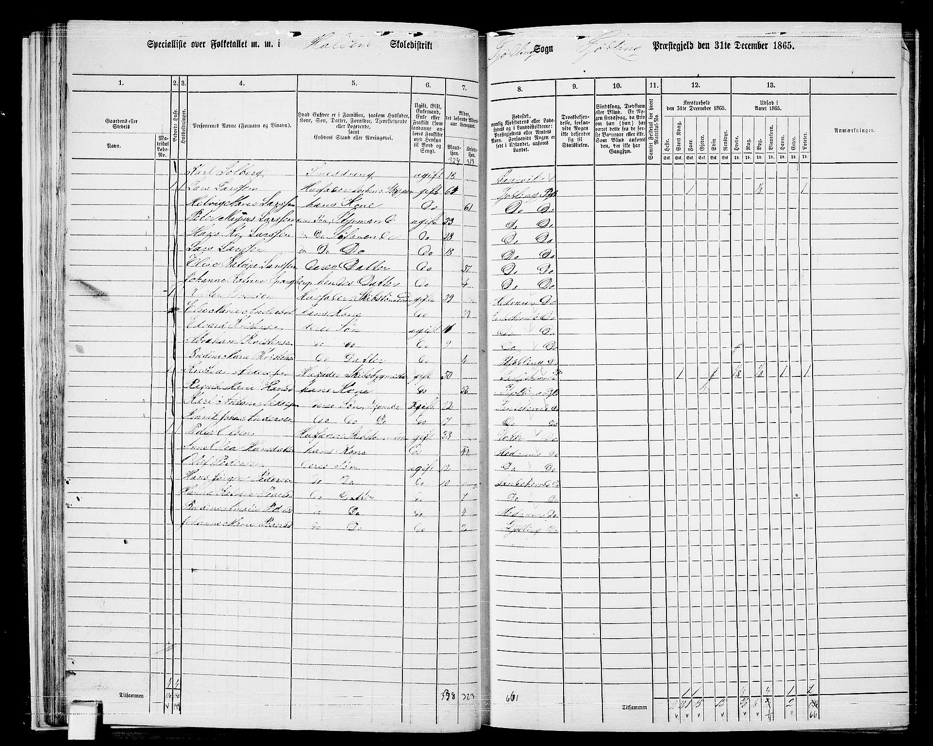 RA, 1865 census for Tjølling, 1865, p. 38