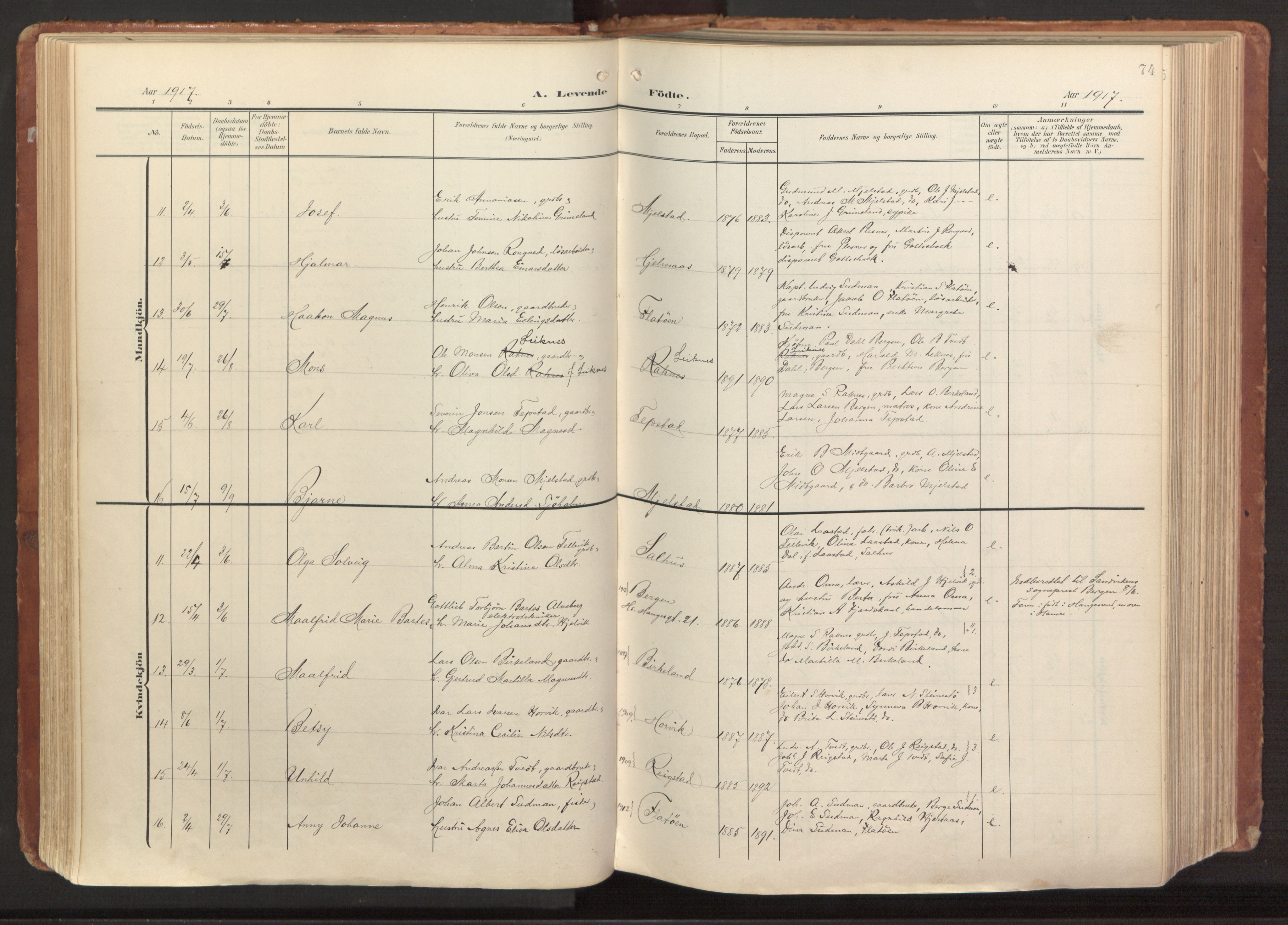 Hamre sokneprestembete, AV/SAB-A-75501/H/Ha/Haa/Haab/L0002: Parish register (official) no. B 2, 1905-1924, p. 74