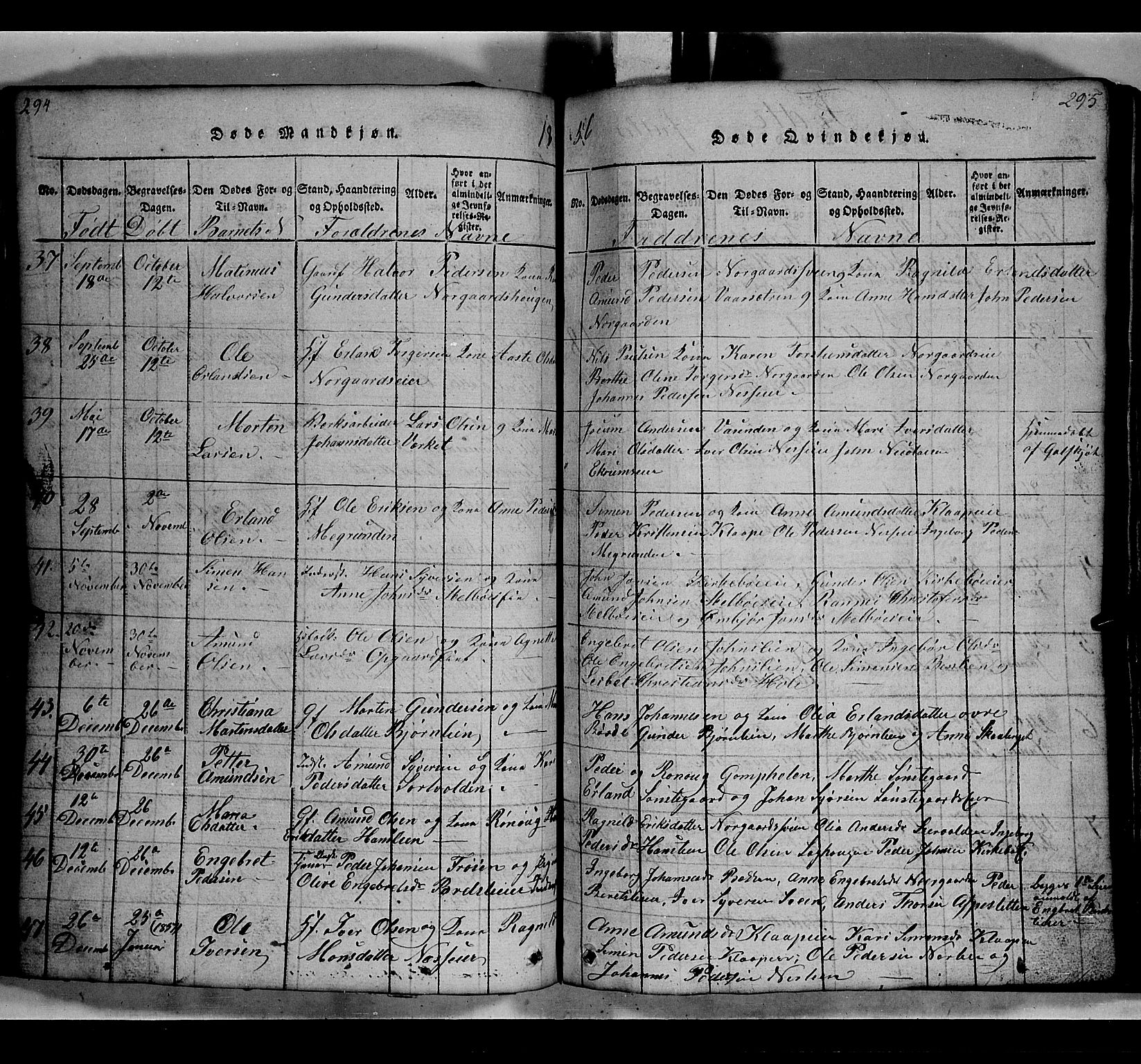 Gausdal prestekontor, SAH/PREST-090/H/Ha/Hab/L0002: Parish register (copy) no. 2, 1818-1874, p. 294-295