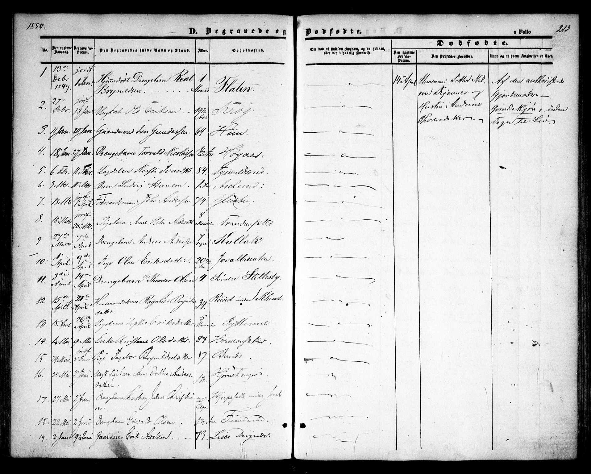 Rødenes prestekontor Kirkebøker, AV/SAO-A-2005/F/Fa/L0006: Parish register (official) no. I 6, 1850-1859, p. 213