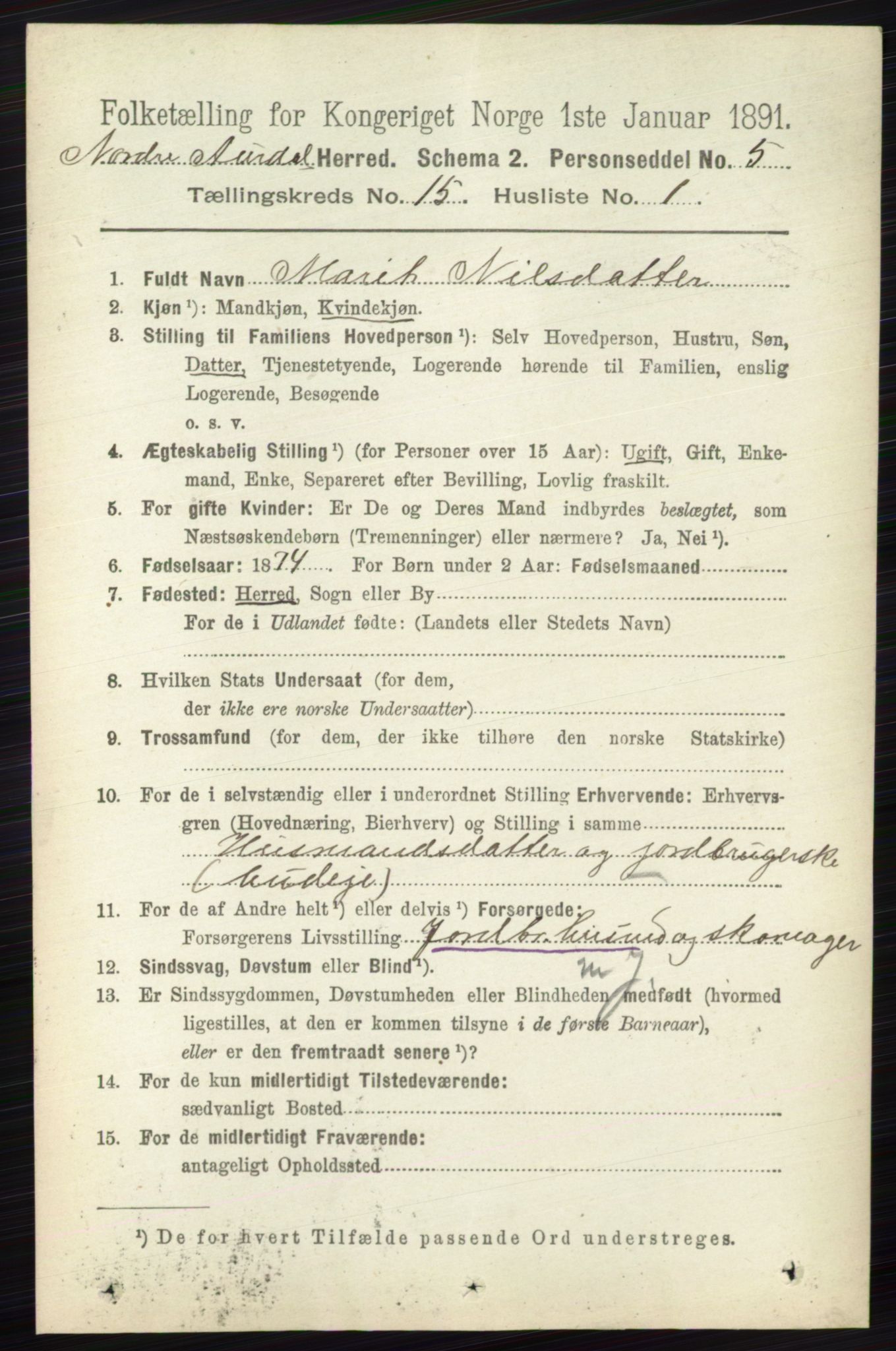 RA, 1891 census for 0542 Nord-Aurdal, 1891, p. 5745