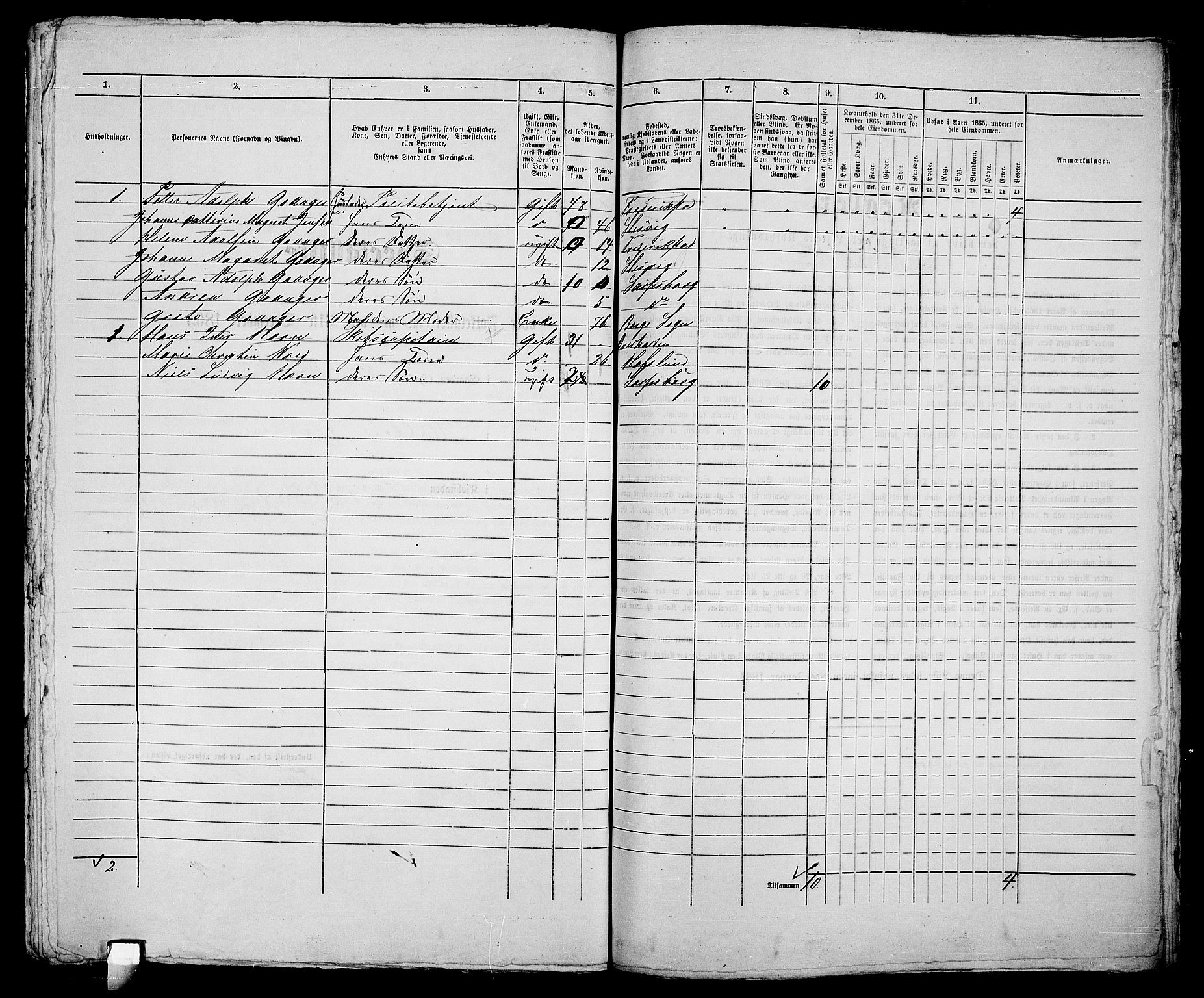 RA, 1865 census for Sarpsborg, 1865, p. 458