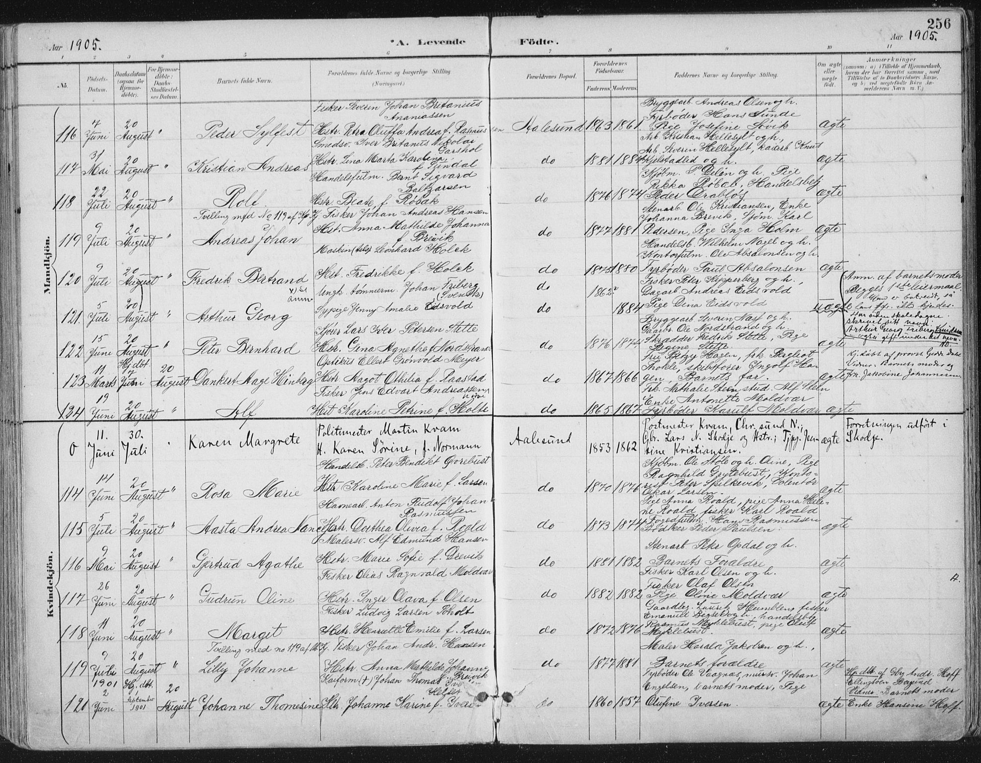 Ministerialprotokoller, klokkerbøker og fødselsregistre - Møre og Romsdal, AV/SAT-A-1454/529/L0456: Parish register (official) no. 529A06, 1894-1906, p. 256