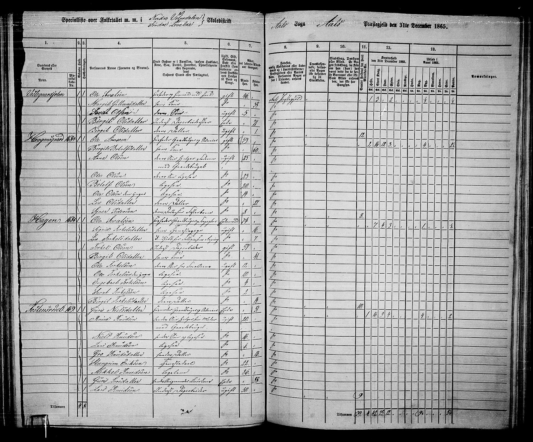 RA, 1865 census for Ål, 1865, p. 106