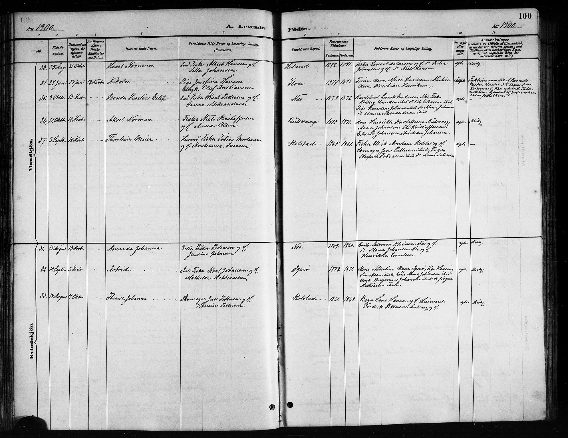 Ministerialprotokoller, klokkerbøker og fødselsregistre - Nordland, AV/SAT-A-1459/816/L0253: Parish register (copy) no. 816C03, 1886-1905, p. 100