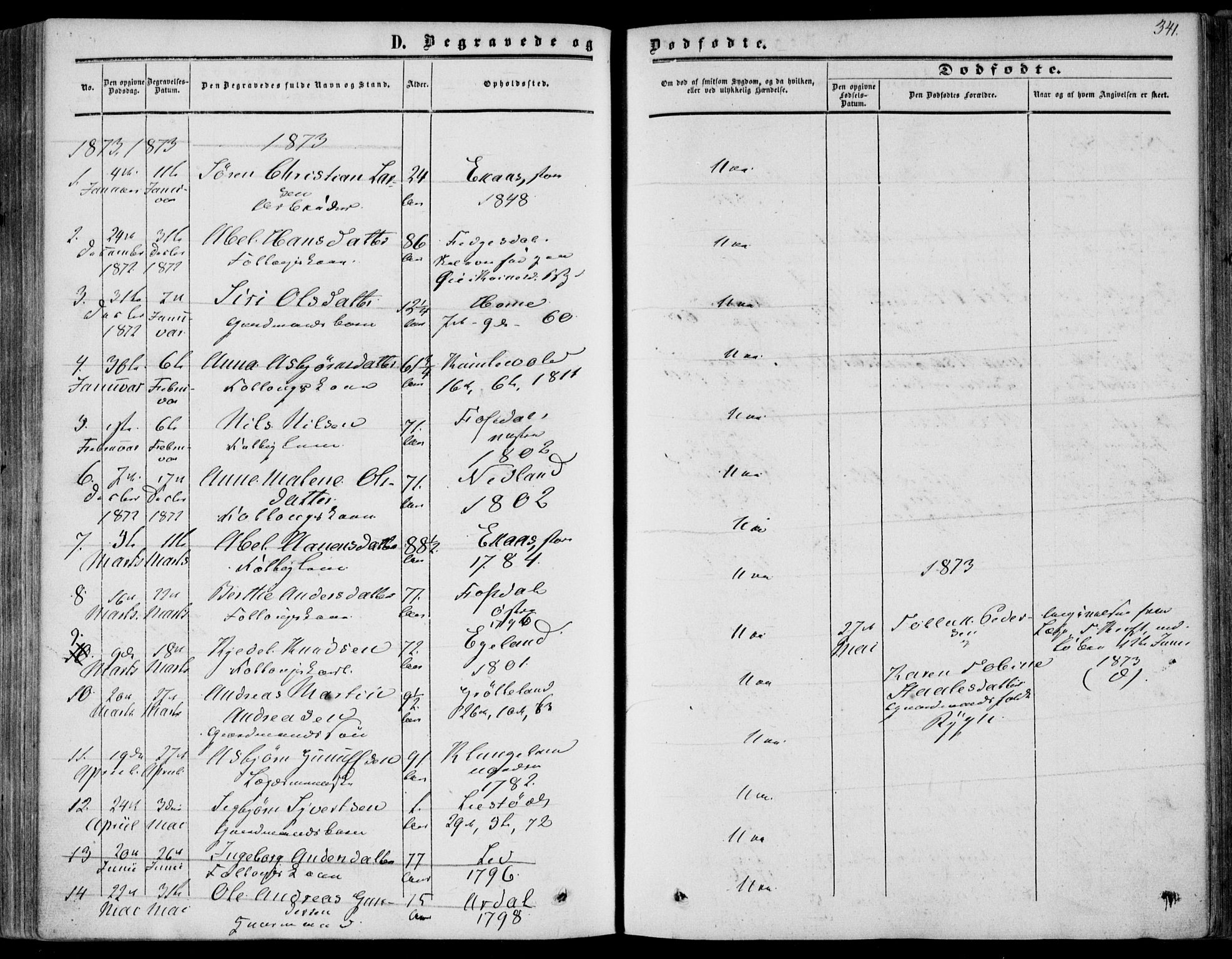 Bakke sokneprestkontor, SAK/1111-0002/F/Fa/Fab/L0002: Parish register (official) no. A 2, 1855-1884, p. 341