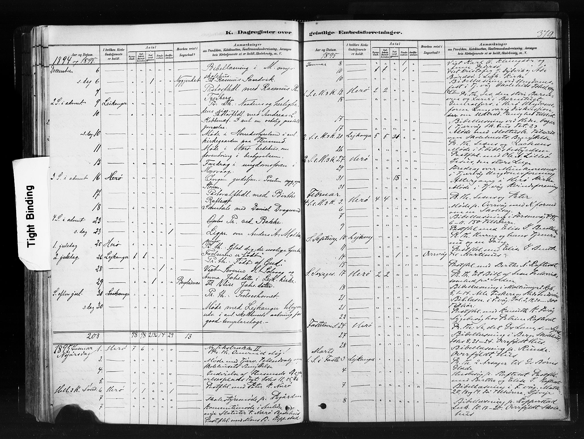 Ministerialprotokoller, klokkerbøker og fødselsregistre - Møre og Romsdal, AV/SAT-A-1454/507/L0073: Parish register (official) no. 507A08, 1878-1904, p. 379