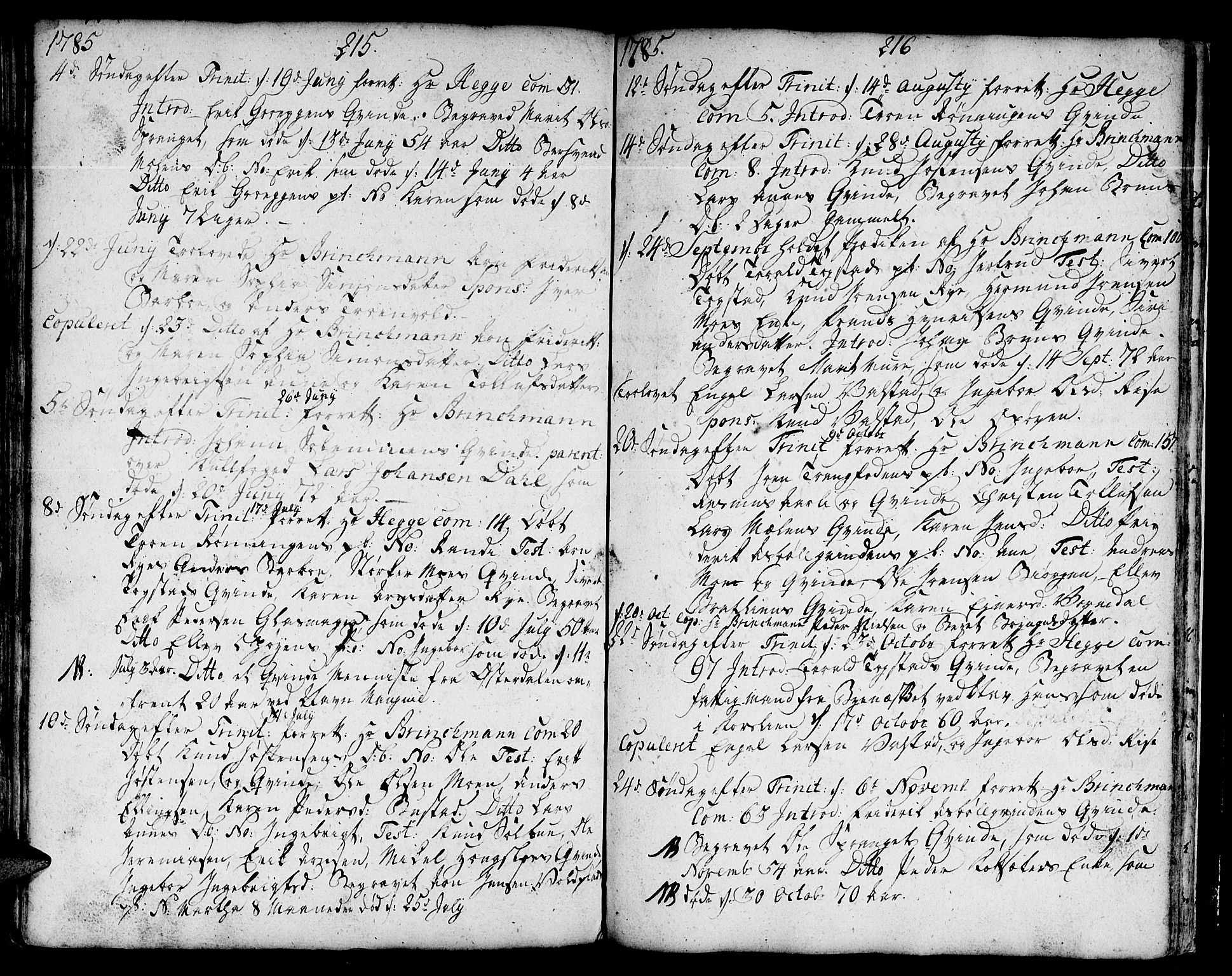 Ministerialprotokoller, klokkerbøker og fødselsregistre - Sør-Trøndelag, SAT/A-1456/671/L0840: Parish register (official) no. 671A02, 1756-1794, p. 315-316