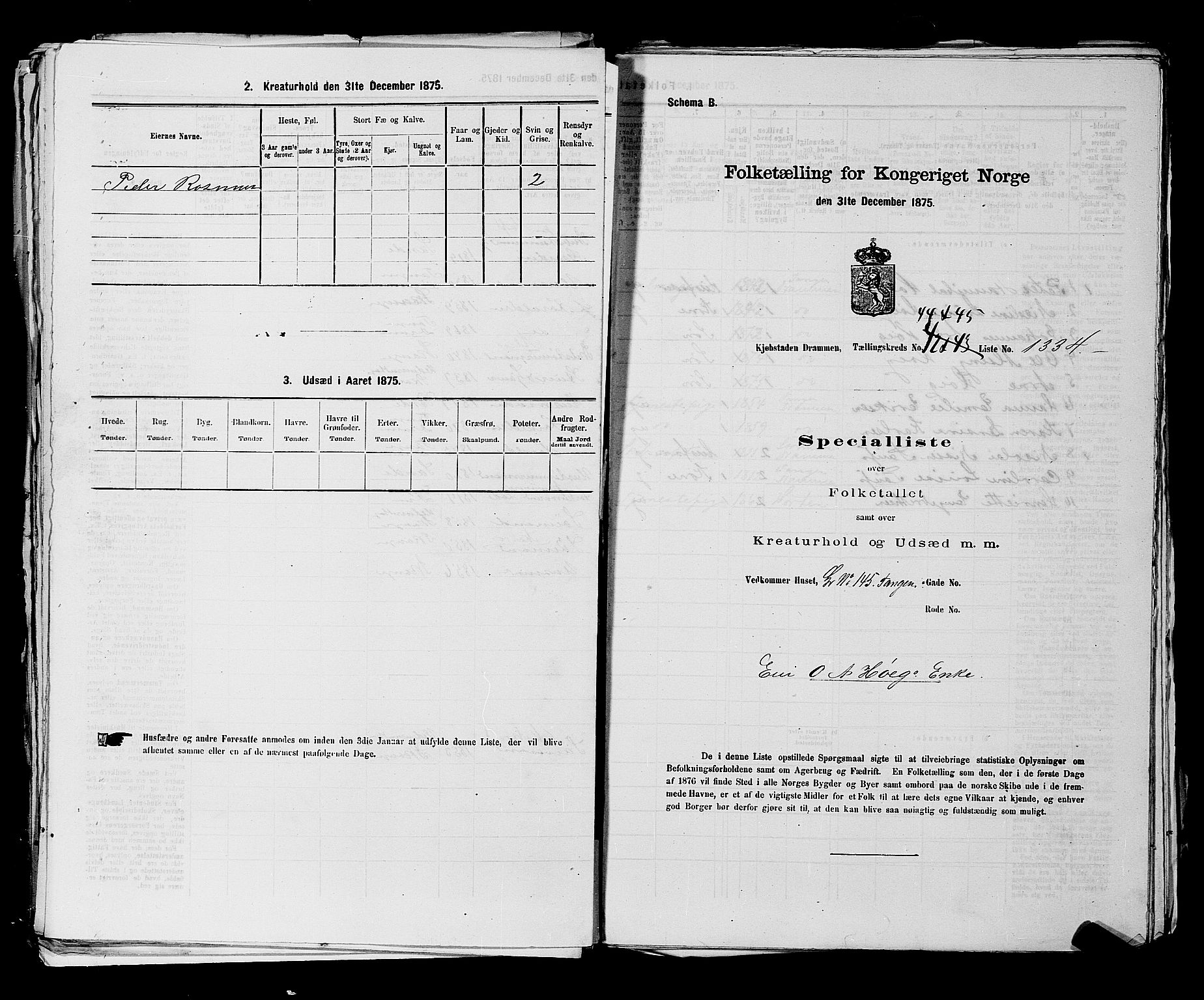 SAKO, 1875 census for 0602 Drammen, 1875, p. 3619