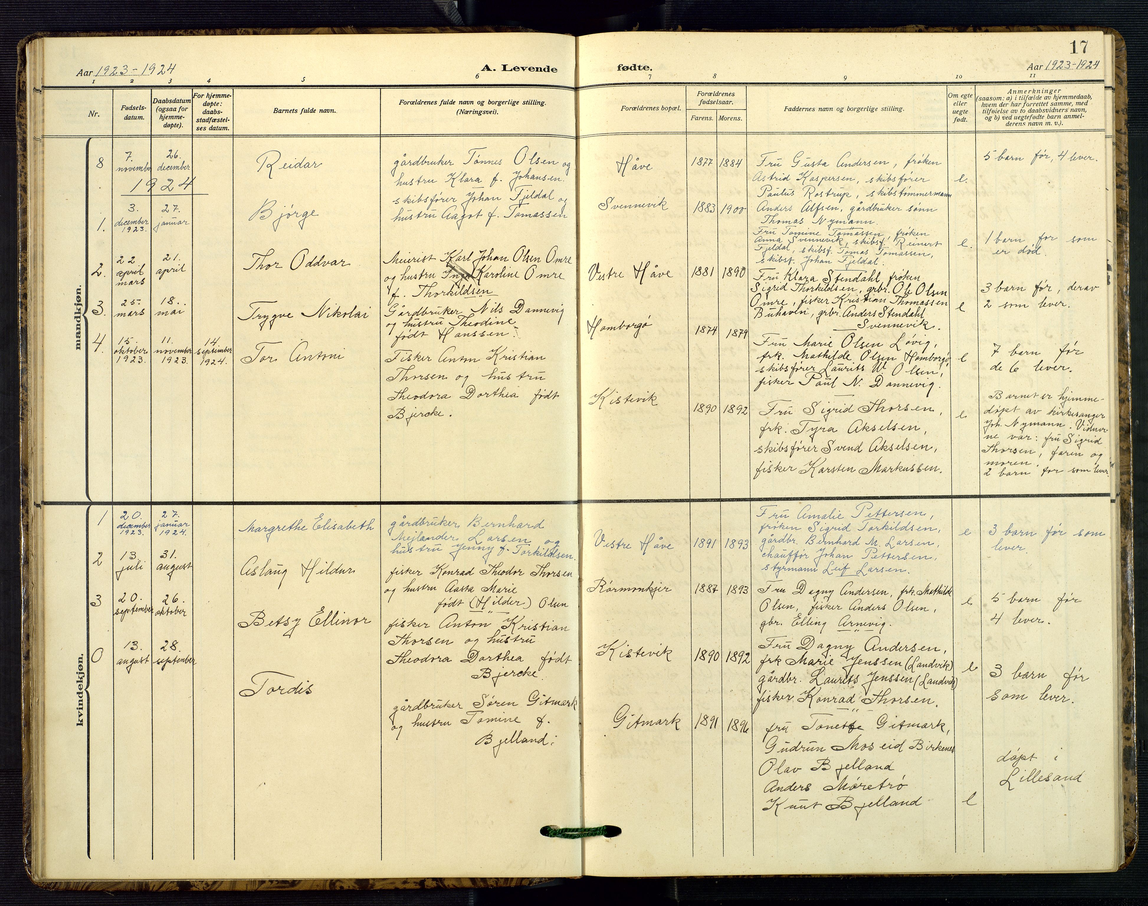 Hommedal sokneprestkontor, SAK/1111-0023/F/Fb/Fba/L0005: Parish register (copy) no. B 5, 1909-1957, p. 17