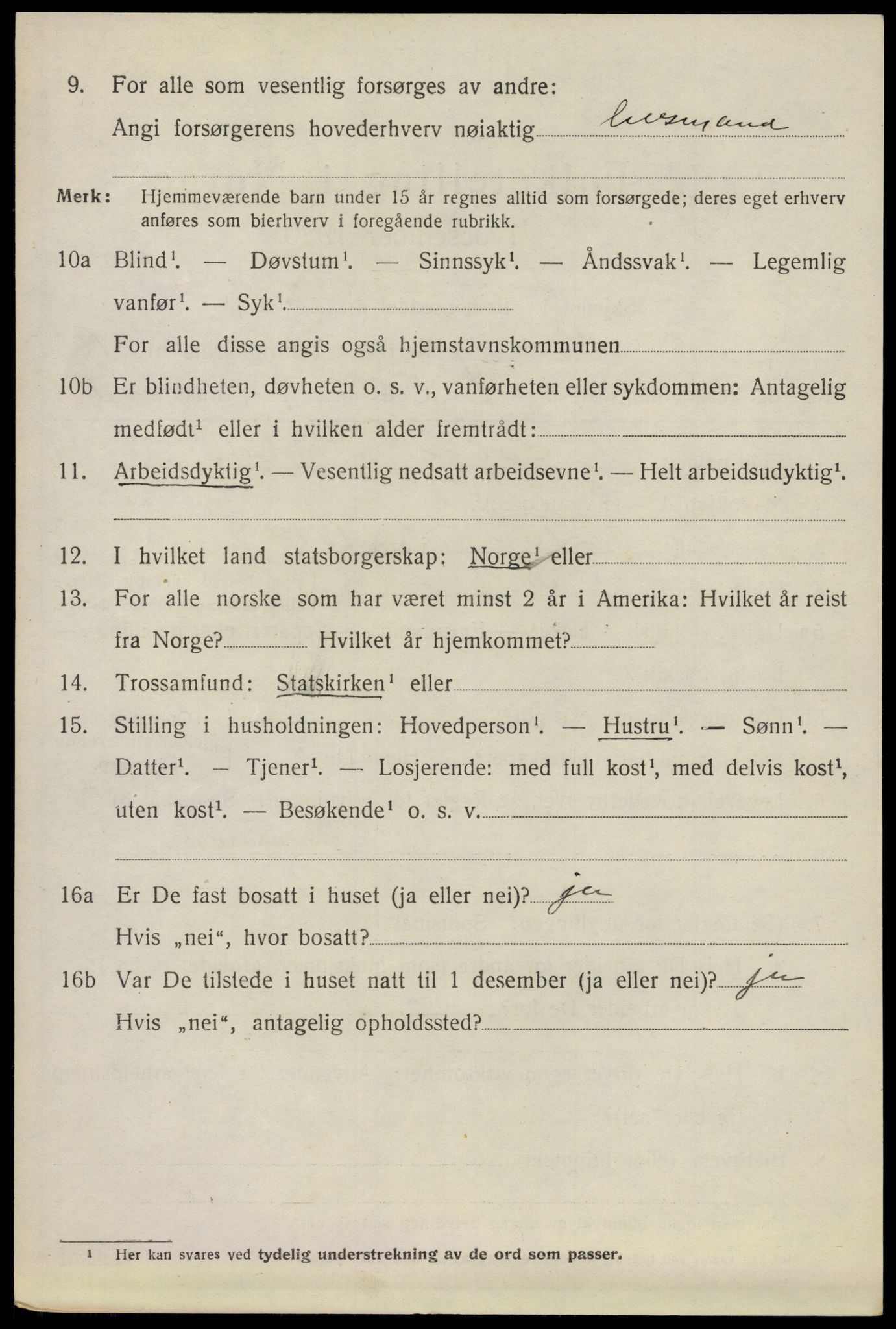 SAO, 1920 census for Nes, 1920, p. 16145