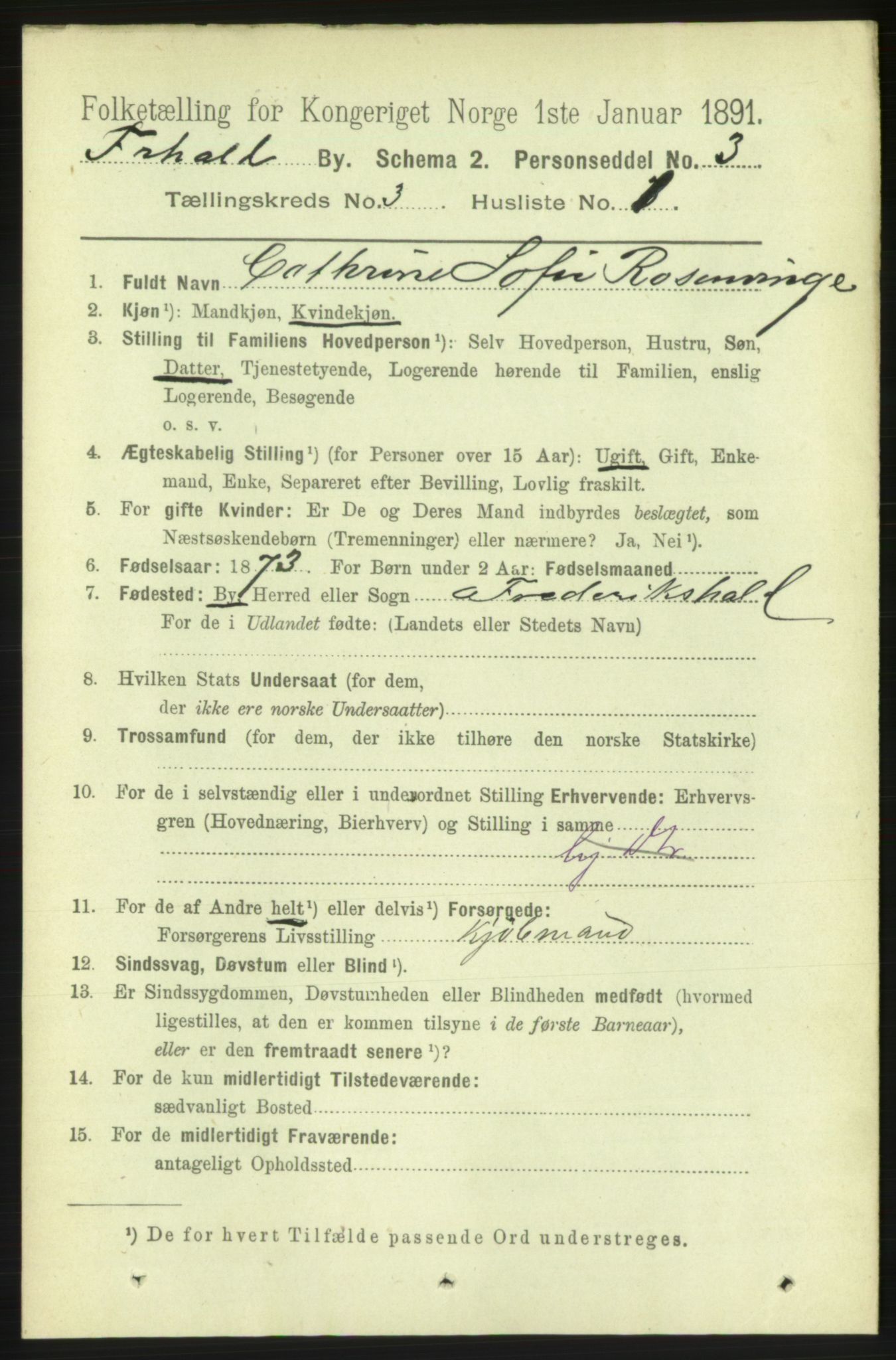 RA, 1891 census for 0101 Fredrikshald, 1891, p. 3194