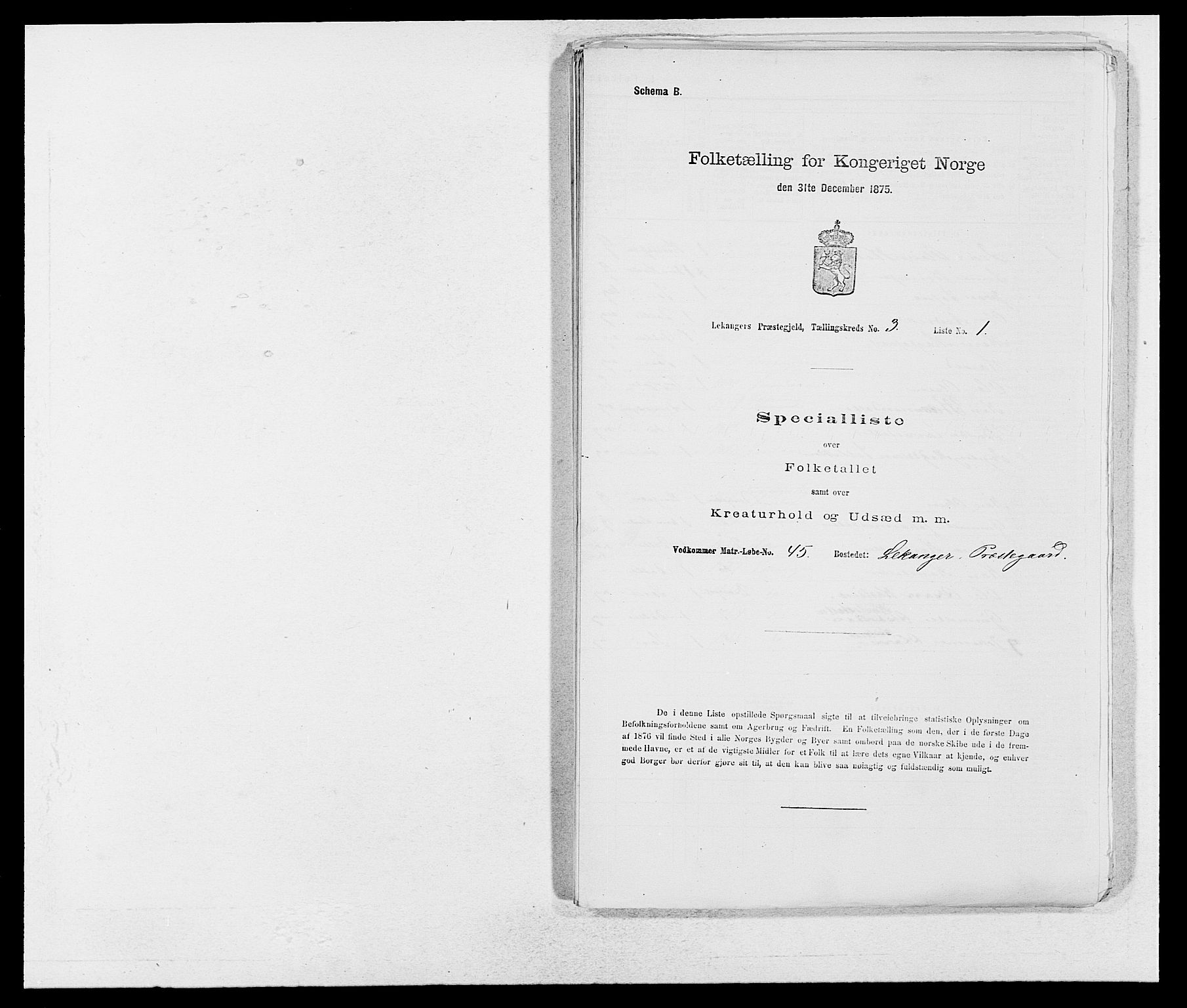 SAB, 1875 census for 1419P Leikanger, 1875, p. 197