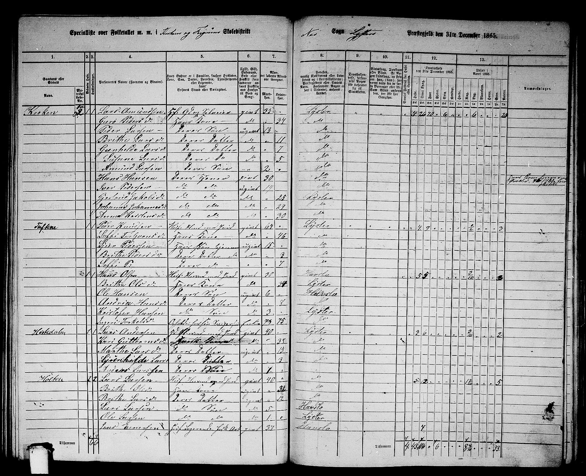 RA, 1865 census for Luster, 1865, p. 128