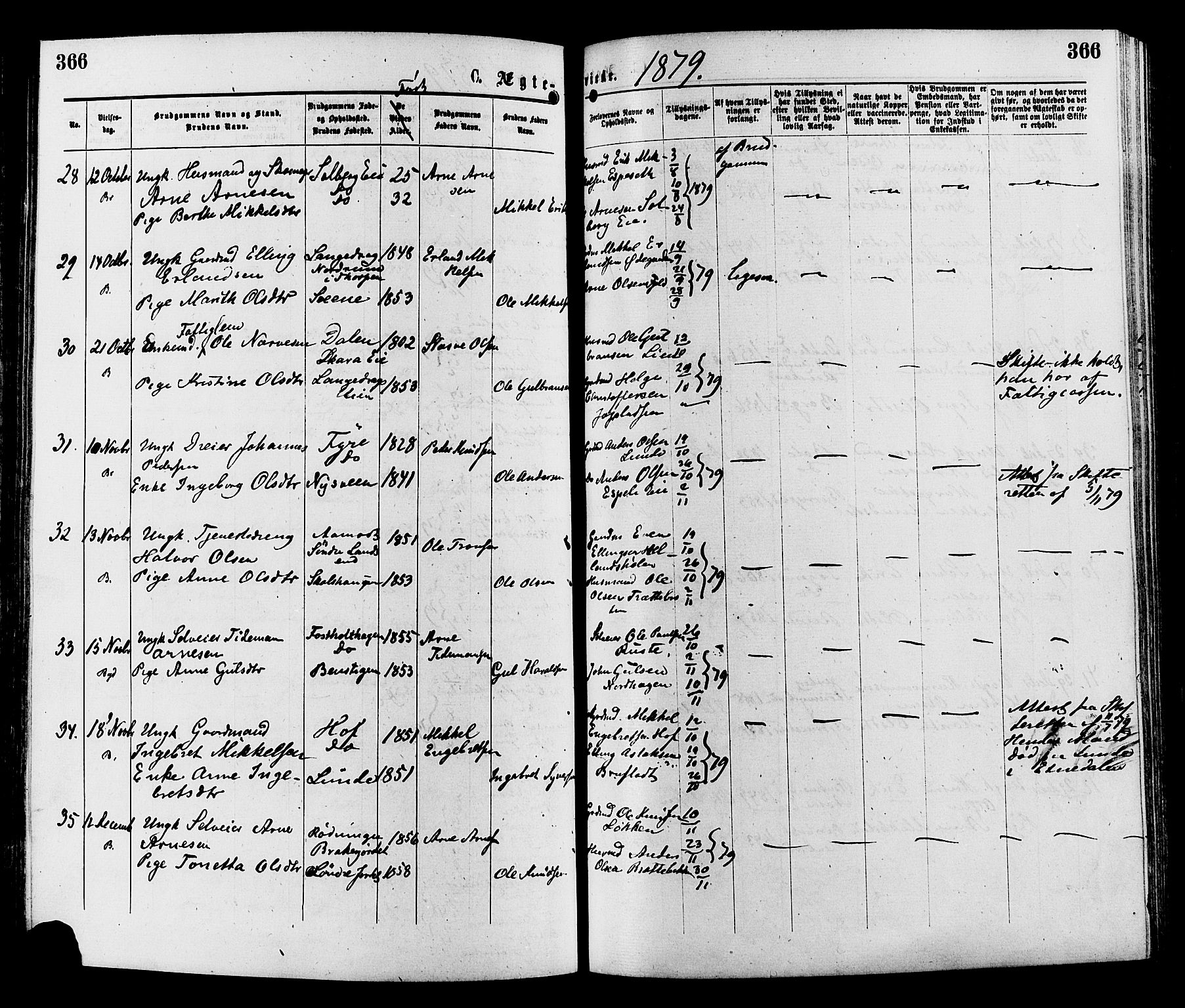 Sør-Aurdal prestekontor, AV/SAH-PREST-128/H/Ha/Haa/L0008: Parish register (official) no. 8, 1877-1885, p. 366