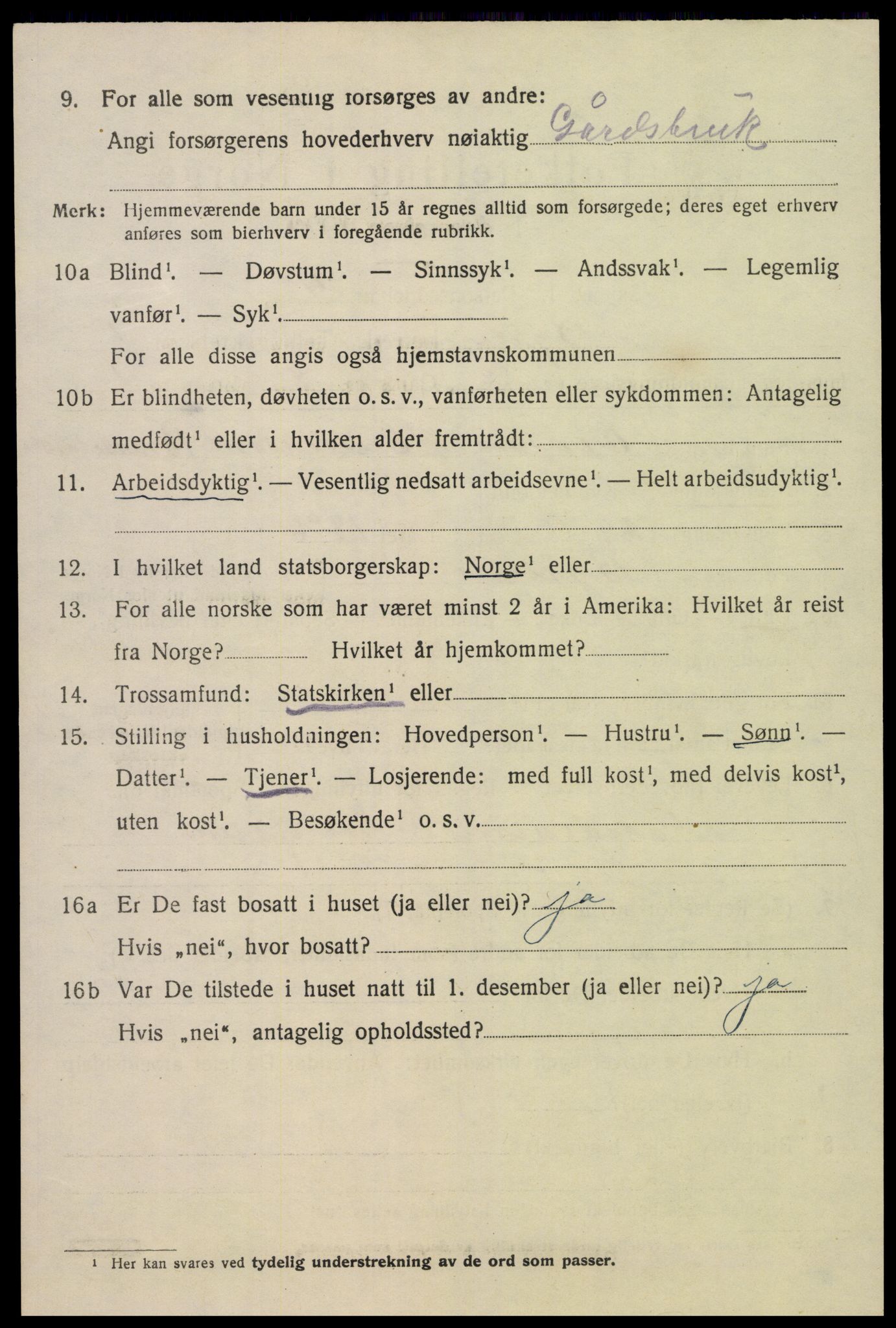 SAK, 1920 census for Bykle, 1920, p. 566