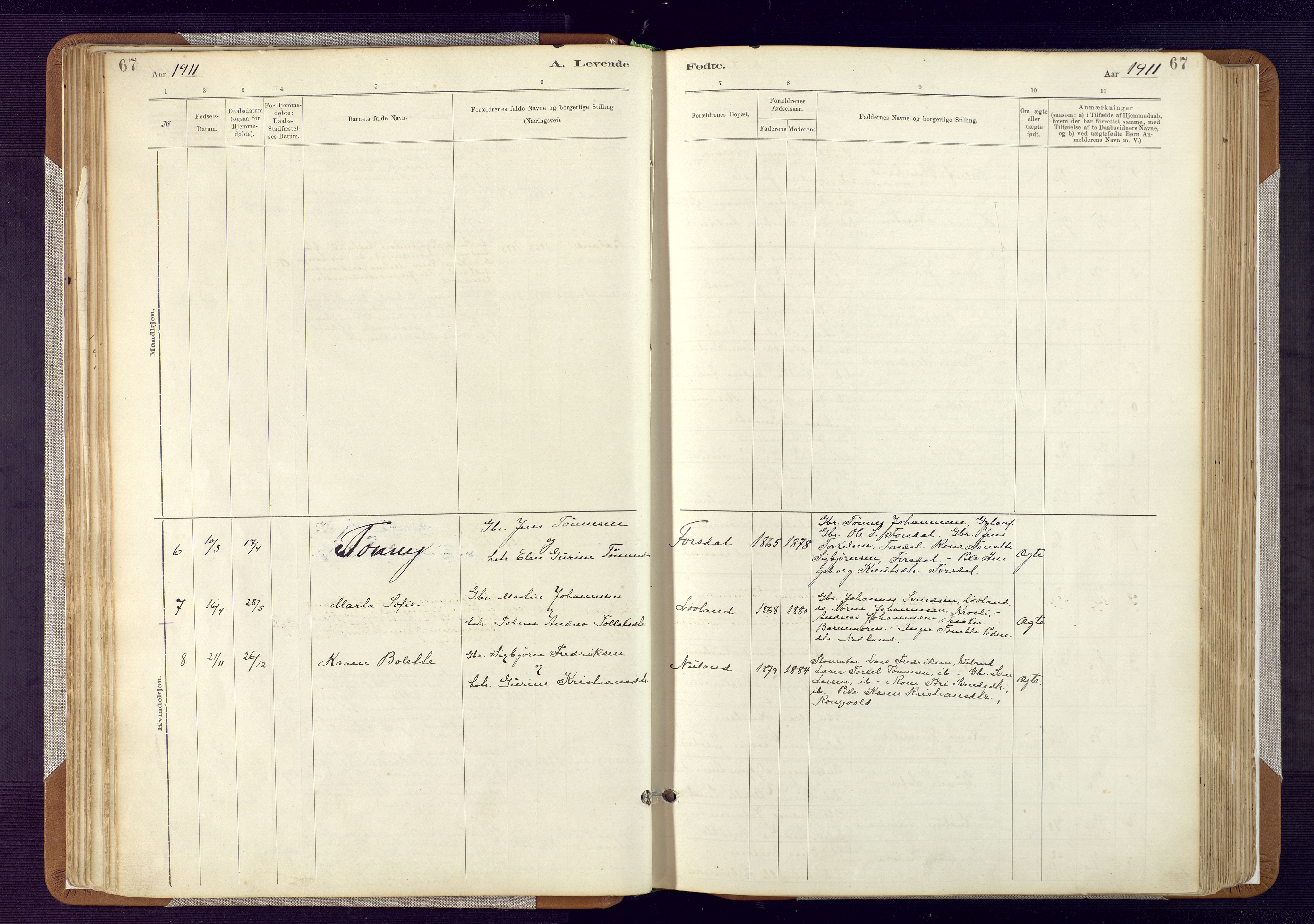 Bakke sokneprestkontor, AV/SAK-1111-0002/F/Fa/Fab/L0003: Parish register (official) no. A 3, 1884-1921, p. 67