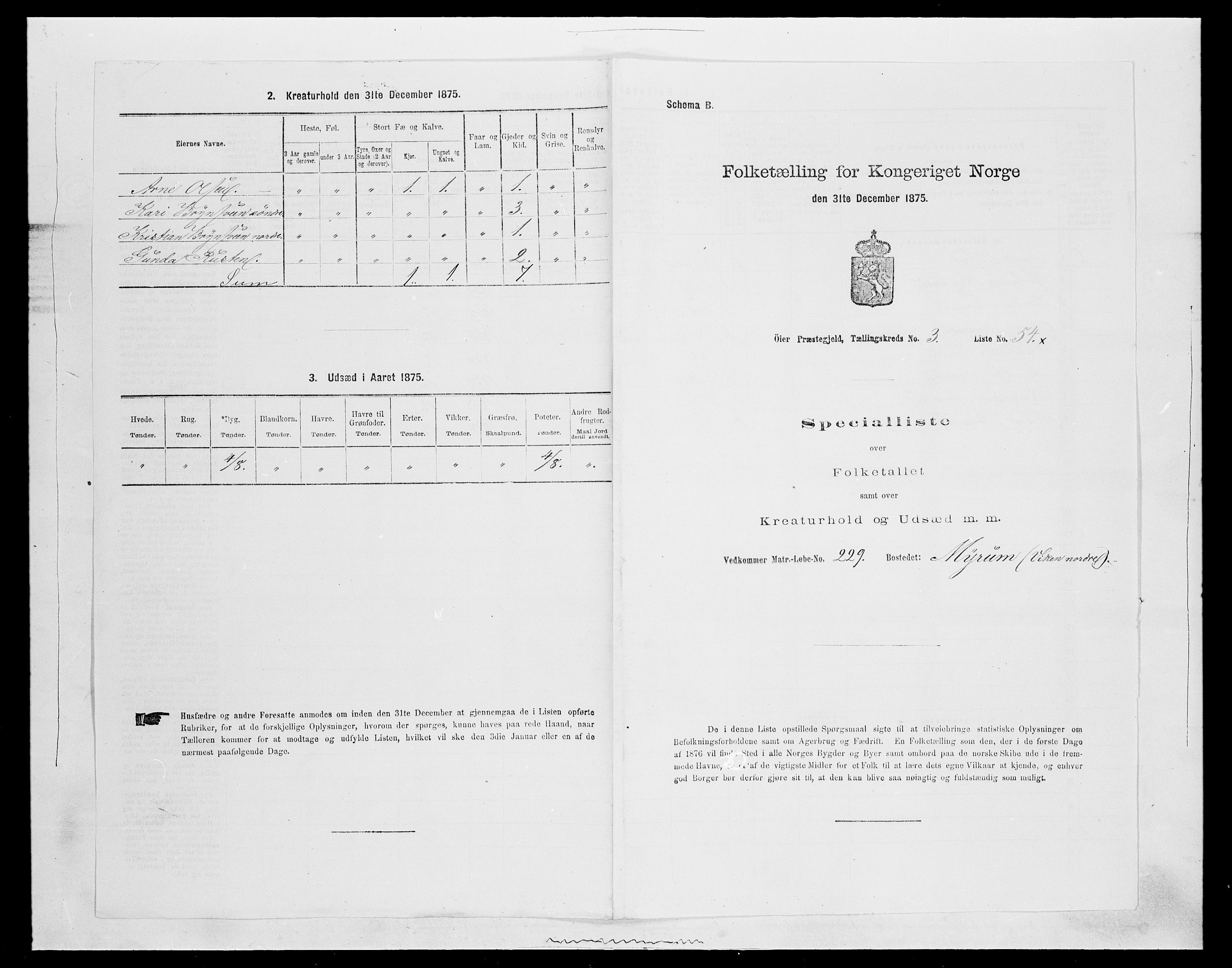 SAH, 1875 census for 0521P Øyer, 1875, p. 711