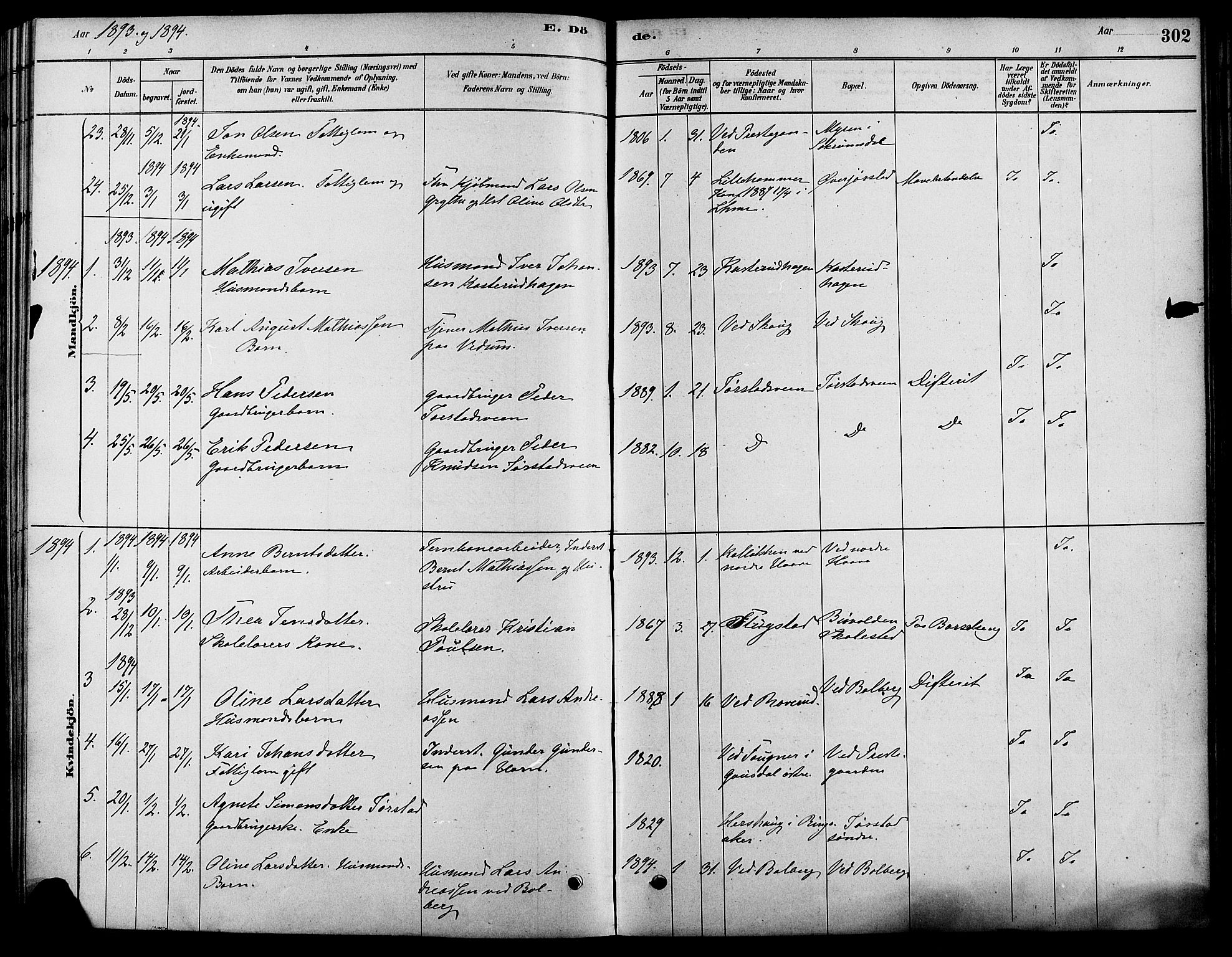 Fåberg prestekontor, SAH/PREST-086/H/Ha/Haa/L0008: Parish register (official) no. 8, 1879-1898, p. 302