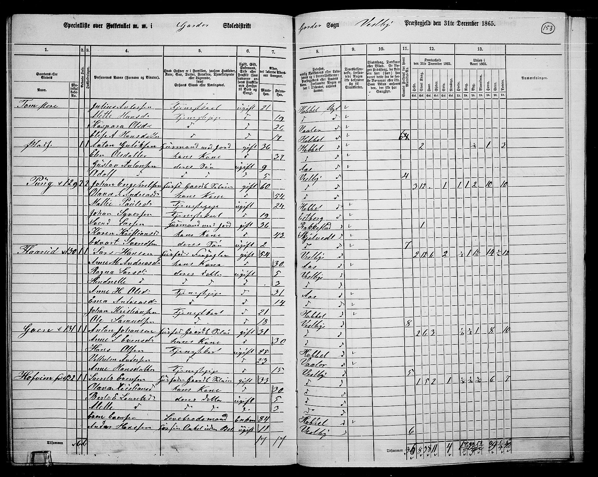 RA, 1865 census for Vestby, 1865, p. 133