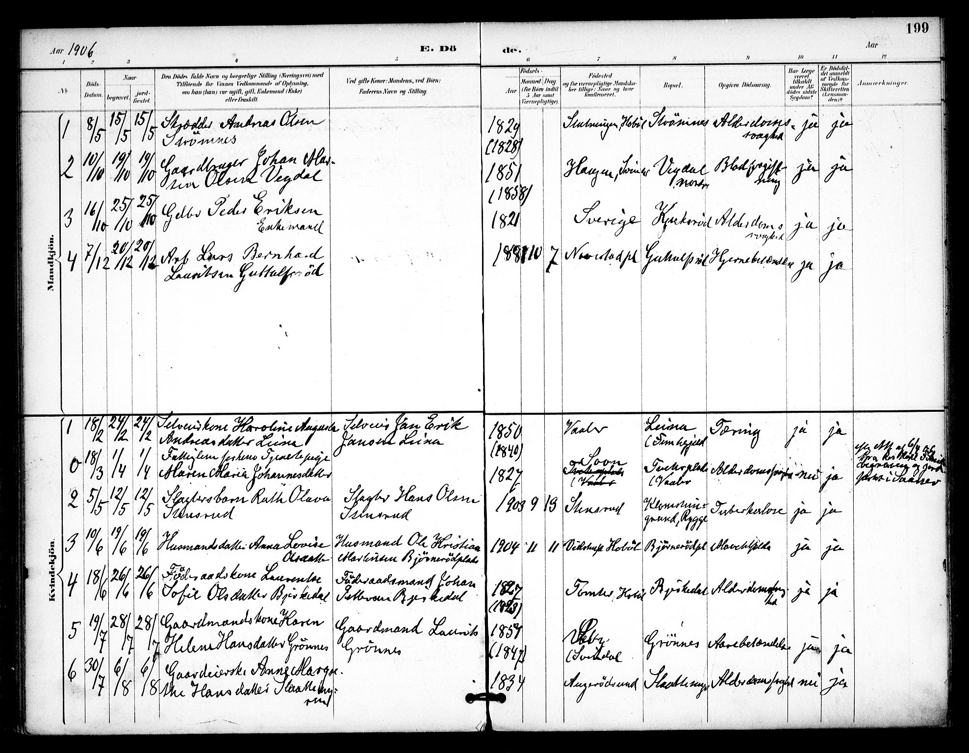 Våler prestekontor Kirkebøker, AV/SAO-A-11083/F/Fa/L0011: Parish register (official) no. I 11, 1893-1909, p. 199