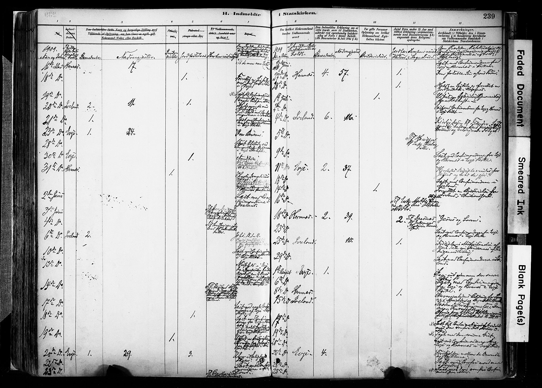 Evje sokneprestkontor, AV/SAK-1111-0008/F/Fa/Faa/L0007: Parish register (official) no. A 7, 1884-1909, p. 238