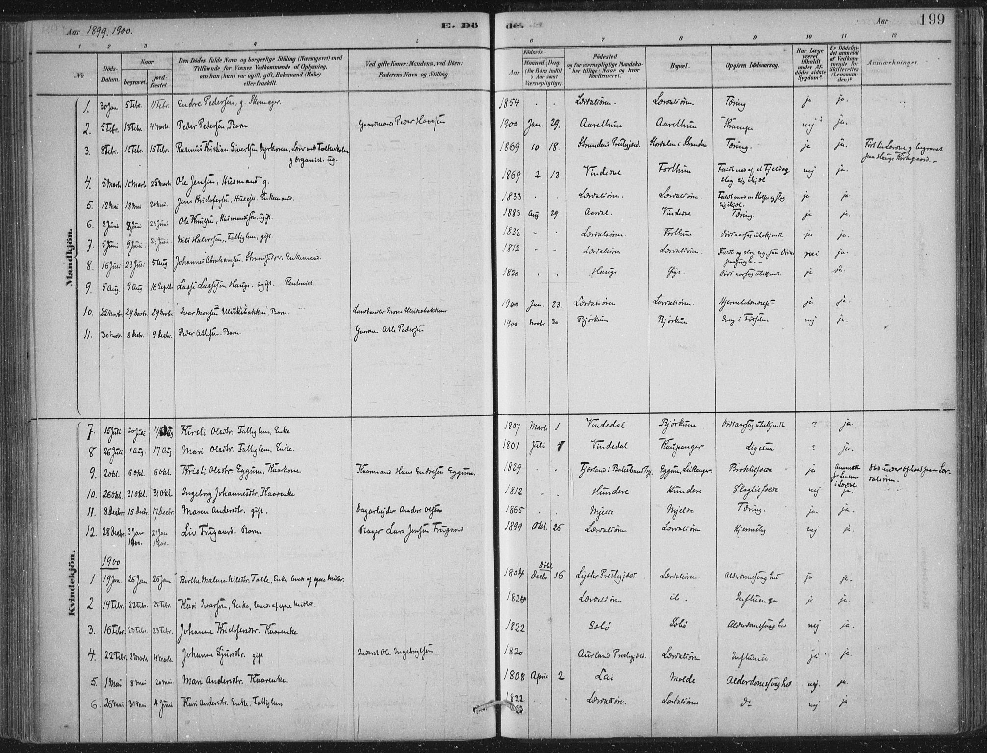 Lærdal sokneprestembete, SAB/A-81201: Parish register (official) no. D  1, 1878-1908, p. 199