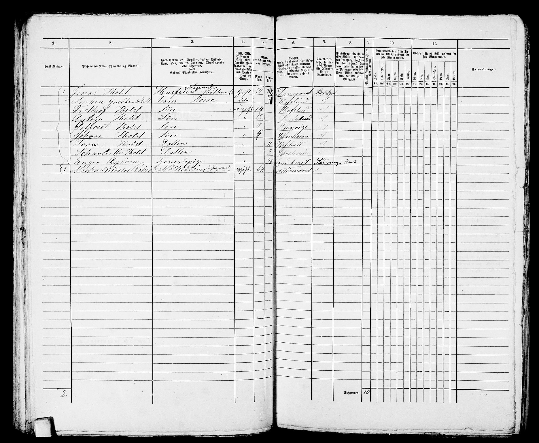 RA, 1865 census for Larvik, 1865, p. 786