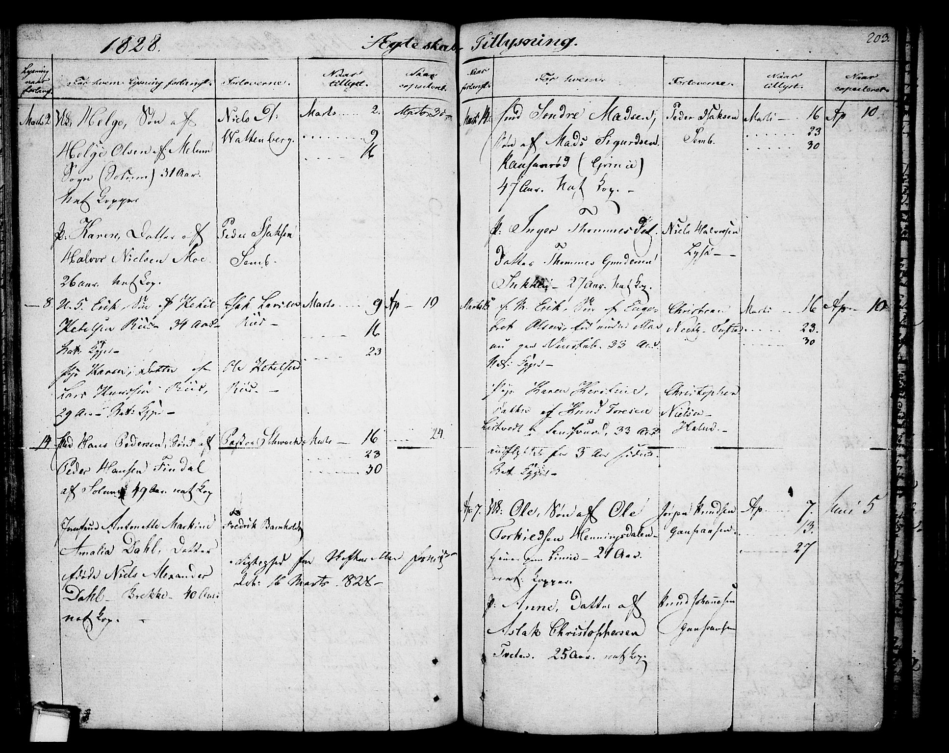 Gjerpen kirkebøker, SAKO/A-265/F/Fa/L0003: Parish register (official) no. I 3, 1796-1814, p. 203