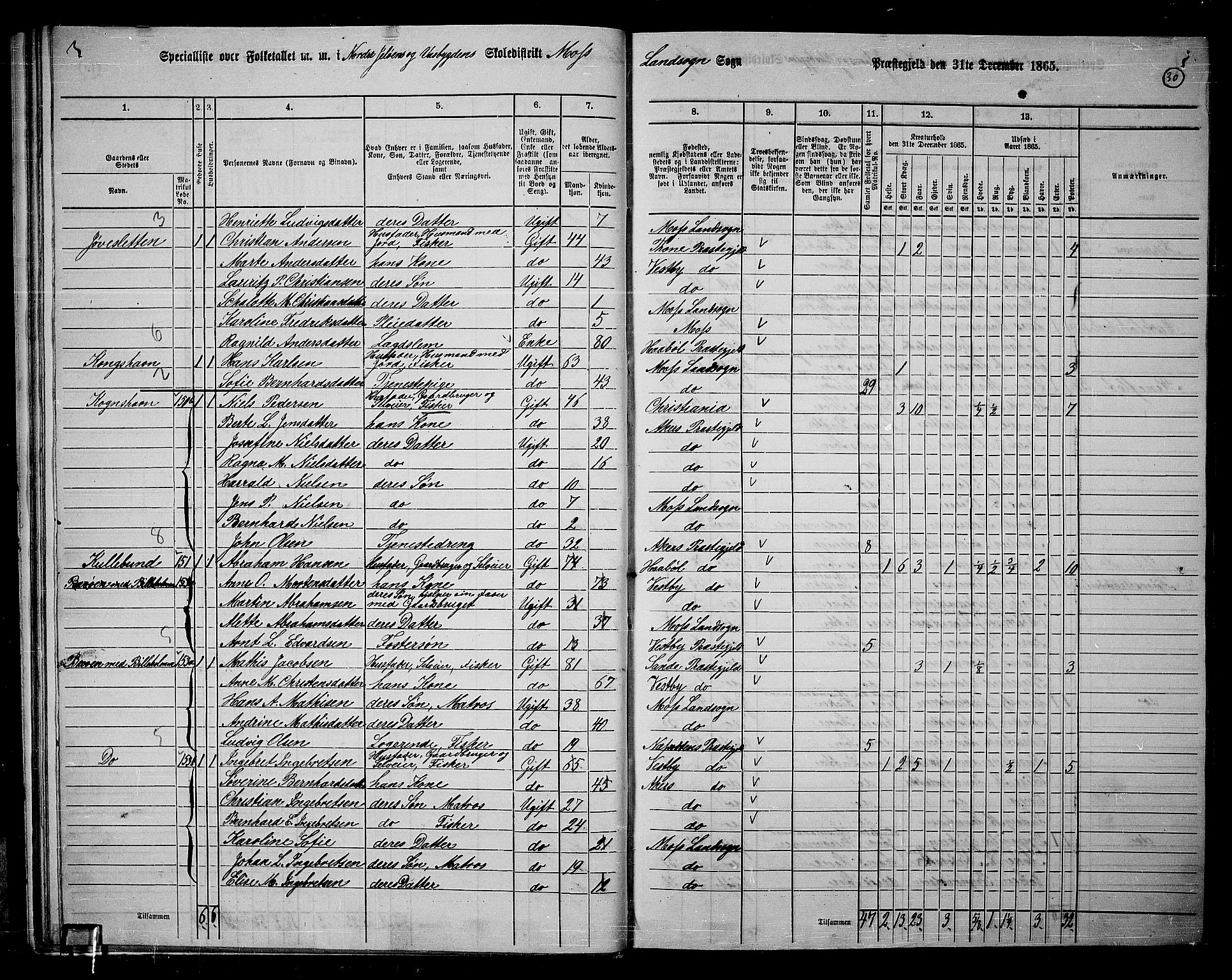 RA, 1865 census for Moss/Moss, 1865, p. 28