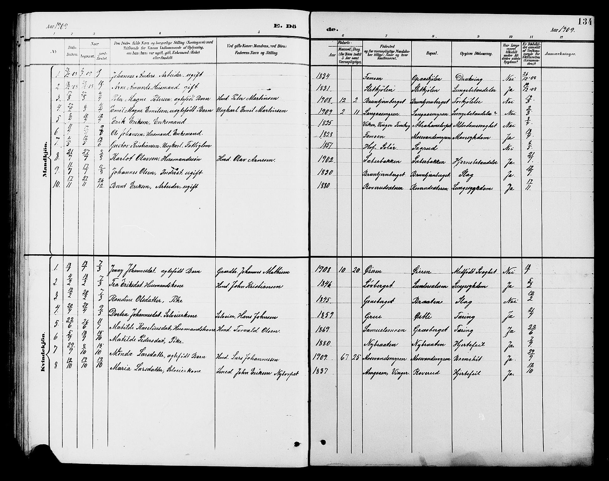 Brandval prestekontor, SAH/PREST-034/H/Ha/Hab/L0001: Parish register (copy) no. 1, 1895-1910, p. 134