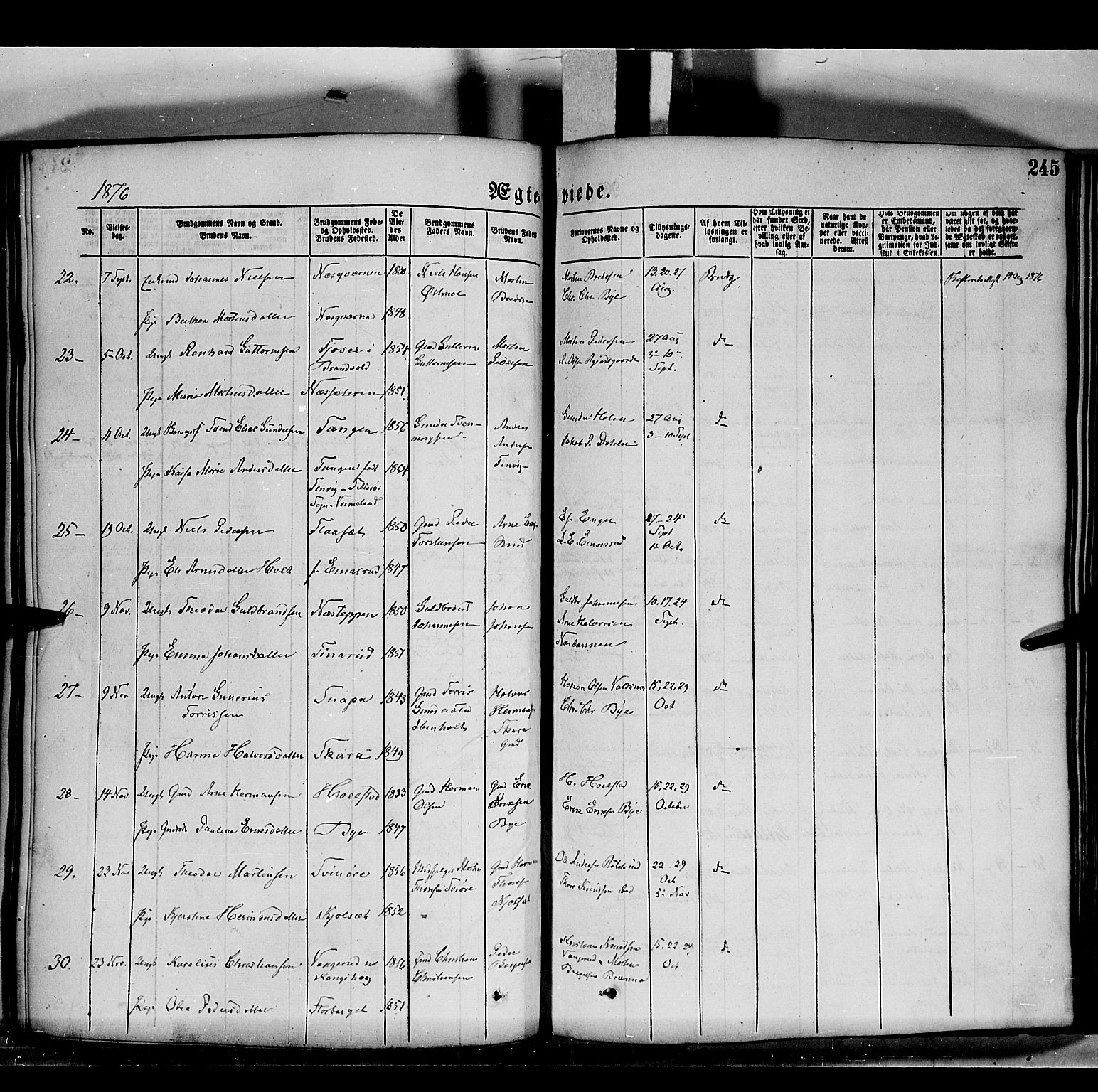 Grue prestekontor, AV/SAH-PREST-036/H/Ha/Haa/L0011: Parish register (official) no. 11, 1873-1880, p. 245