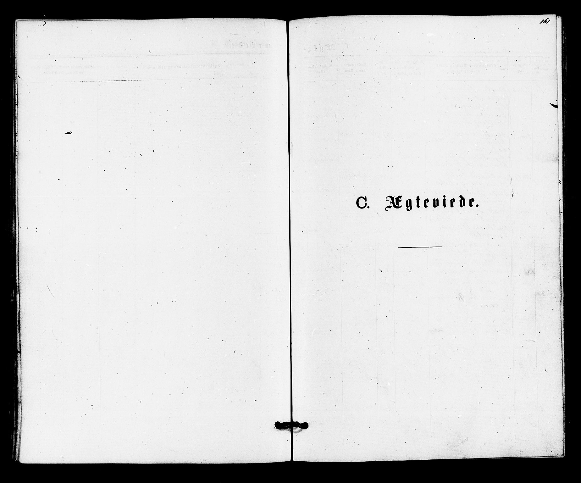 Hurum kirkebøker, SAKO/A-229/F/Fa/L0013: Parish register (official) no. 13, 1876-1881, p. 161