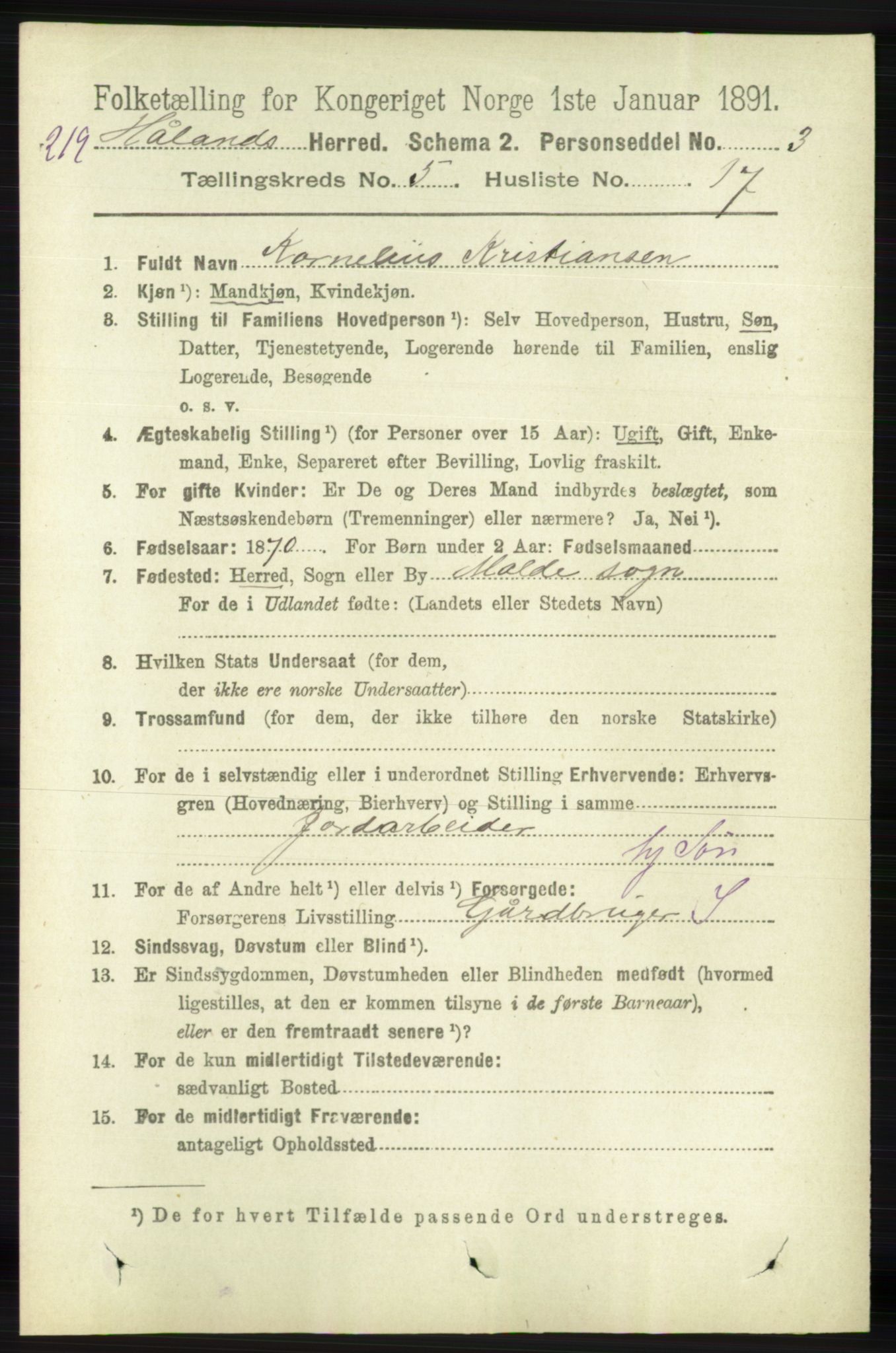 RA, 1891 census for 1124 Haaland, 1891, p. 3385