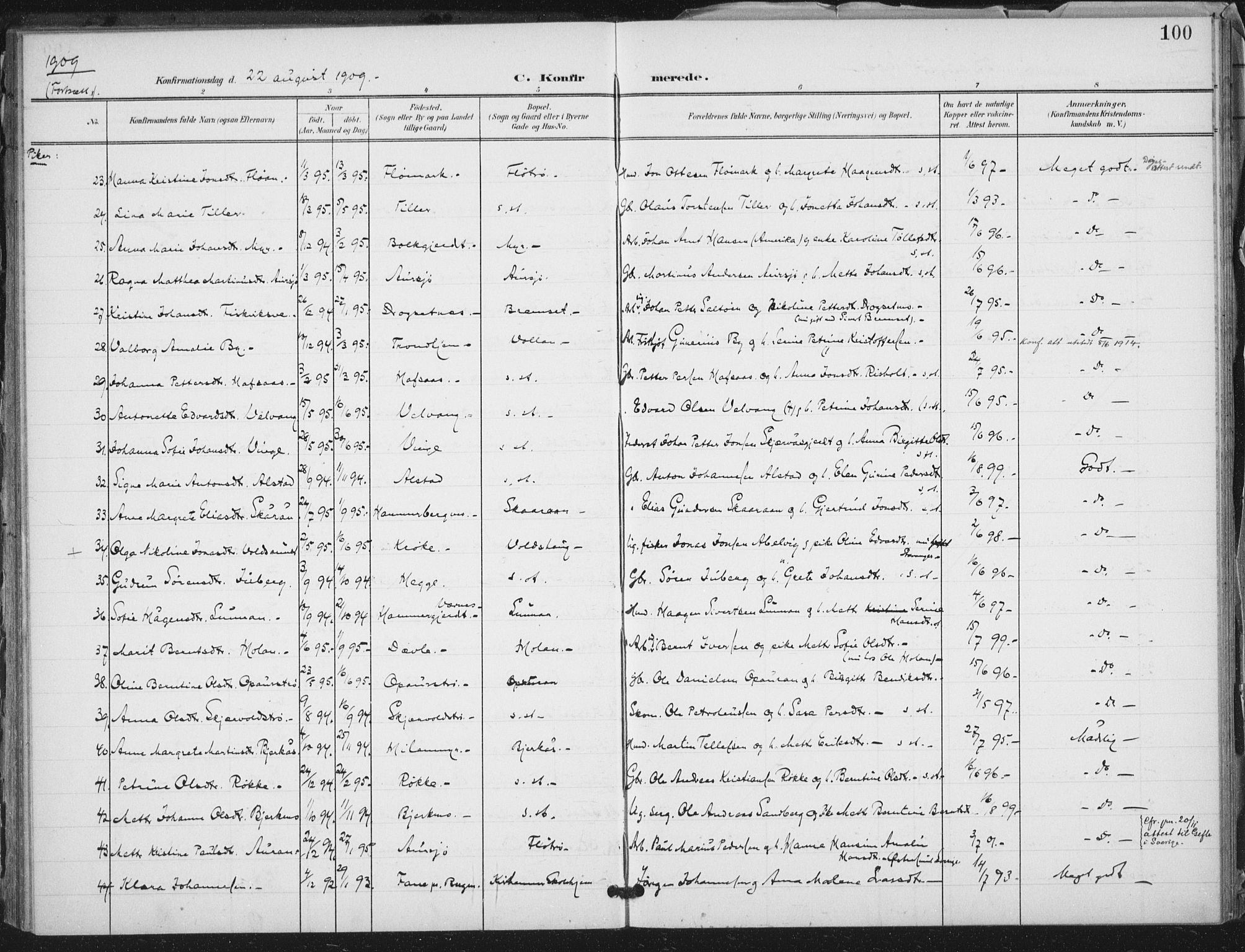 Ministerialprotokoller, klokkerbøker og fødselsregistre - Nord-Trøndelag, AV/SAT-A-1458/712/L0101: Parish register (official) no. 712A02, 1901-1916, p. 100