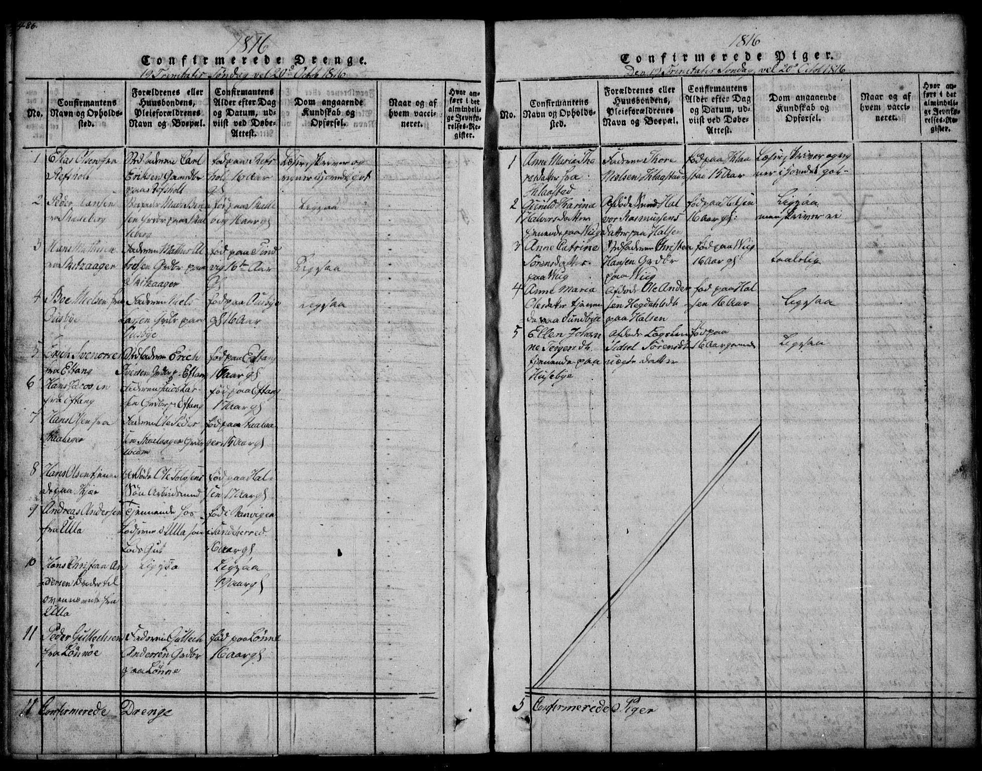 Tjølling kirkebøker, SAKO/A-60/G/Ga/L0001: Parish register (copy) no. 1, 1814-1835, p. 486