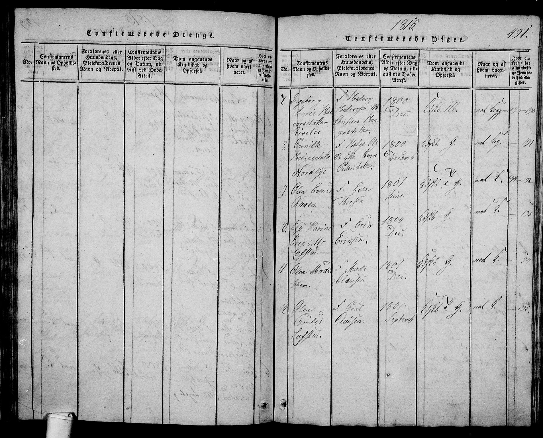 Våle kirkebøker, AV/SAKO-A-334/G/Ga/L0001: Parish register (copy) no. I 1, 1814-1824, p. 490-491